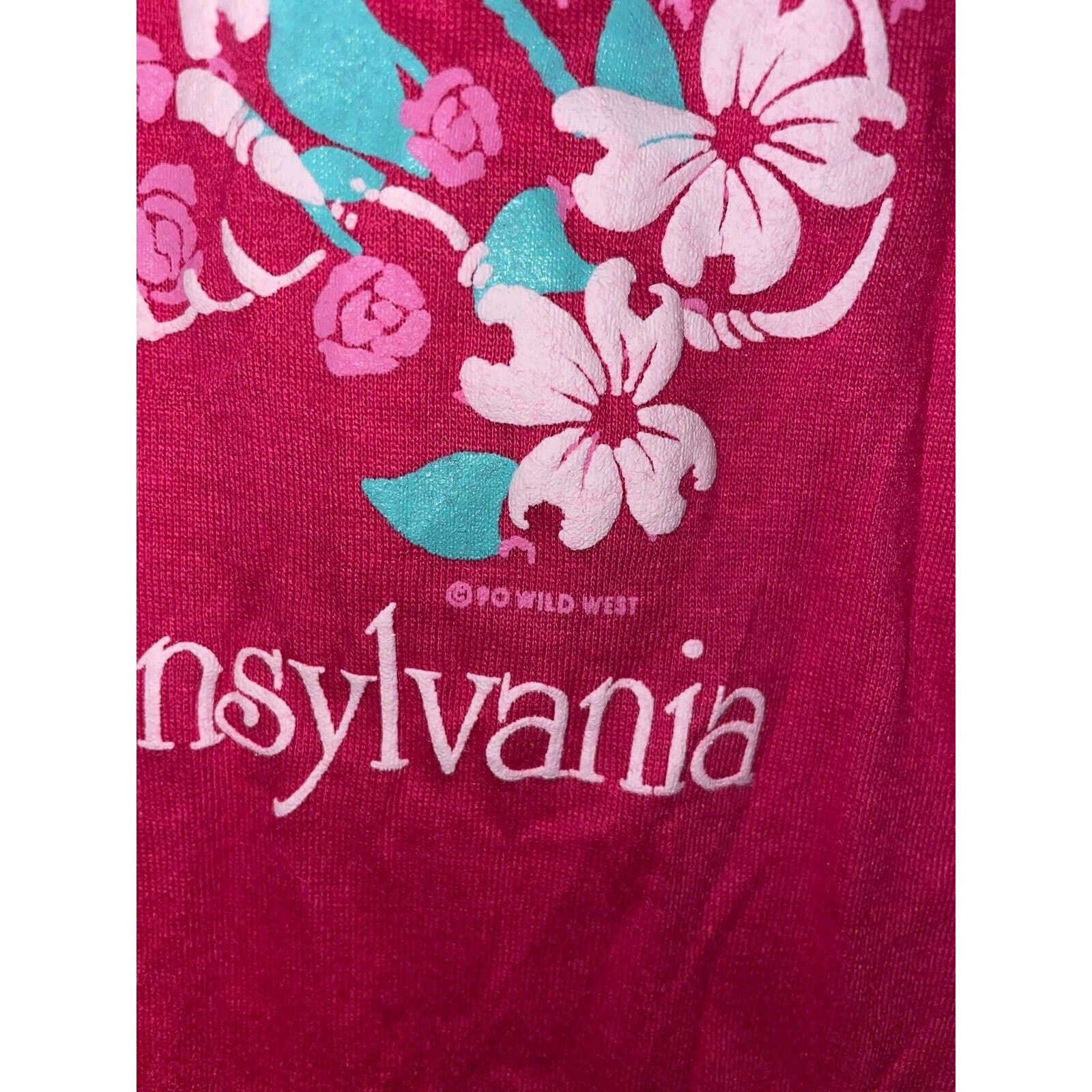 Jerzees Vintage Pennsylvania Shirt Flower Pink Tee VTG 90s Medium Size US M / EU 48-50 / 2 - 6 Thumbnail
