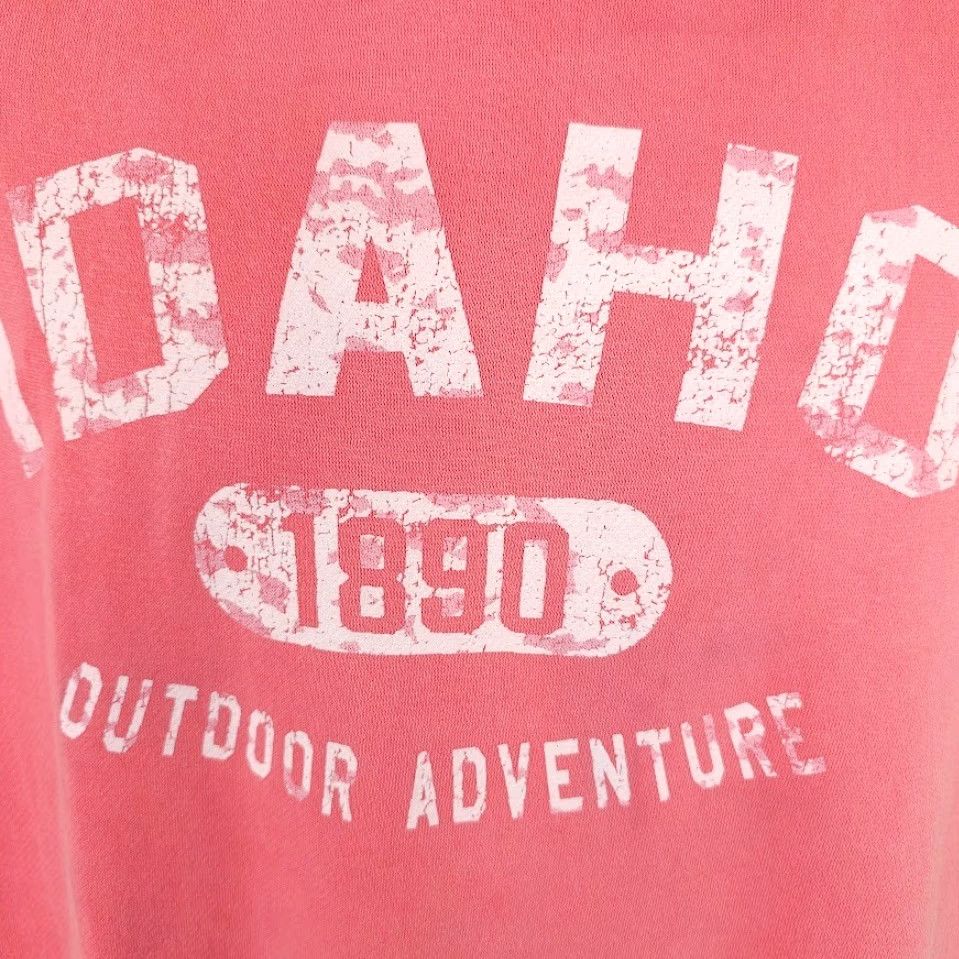 Vintage New Agenda Hoodie Mens Size Medium Pink Idaho Destination Outdoor Travel Tourism Size US M / EU 48-50 / 2 - 3 Thumbnail