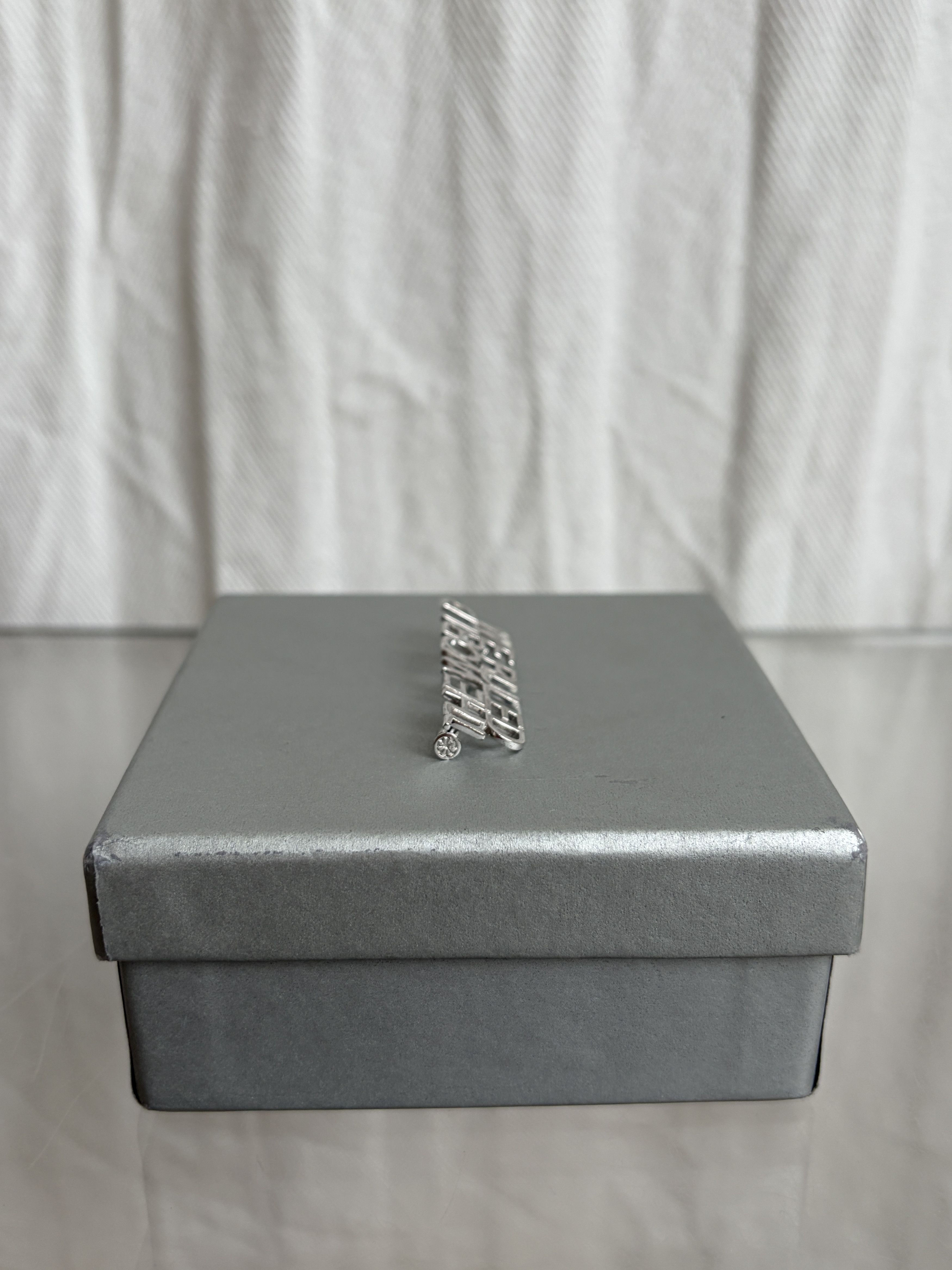 Dior SS06 WE RULE THE WORLD Pin Size ONE SIZE - 3 Thumbnail