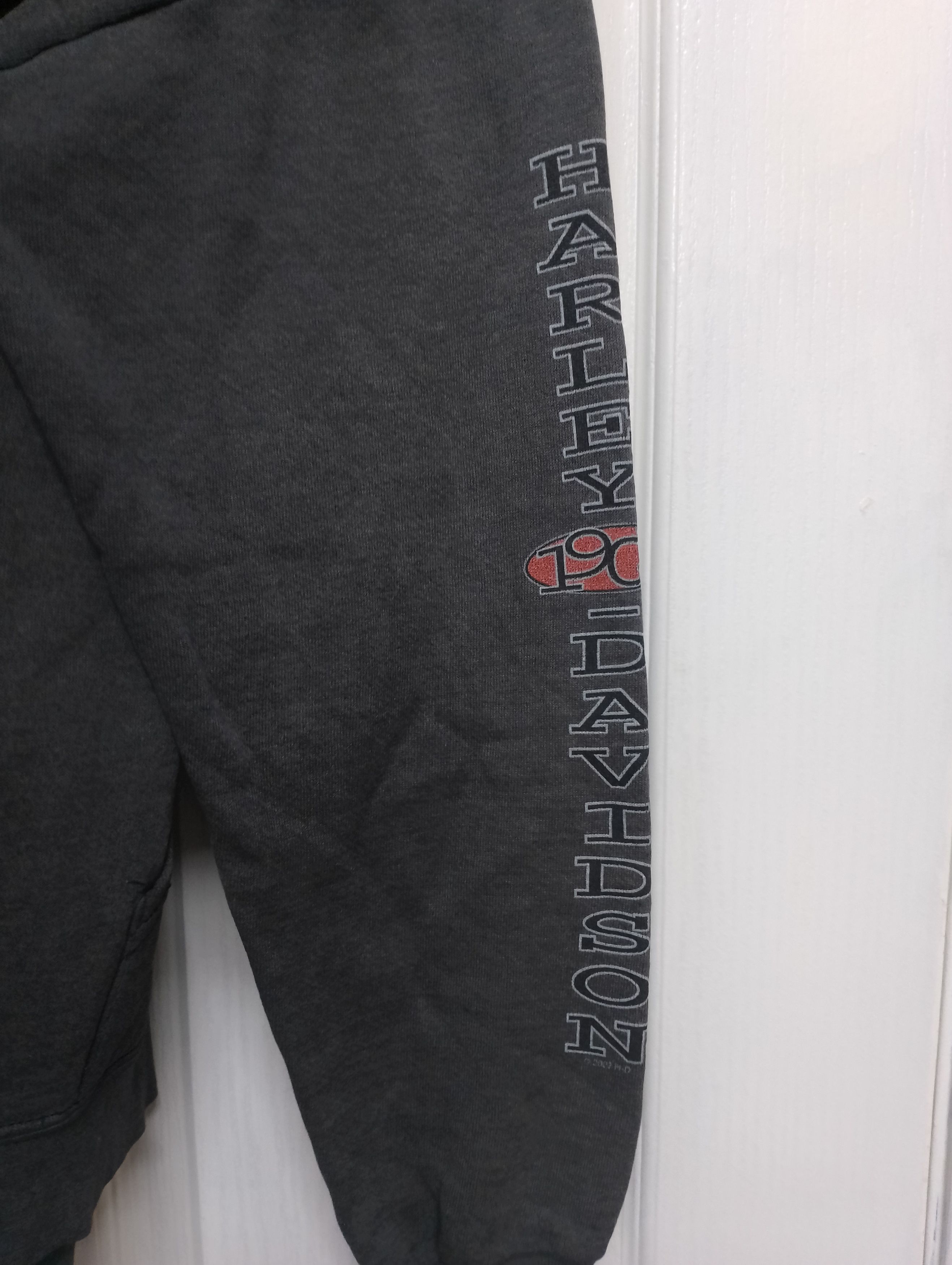 Harley Davidson Vintage Harley Davidson Fire Eagles Hoodie Size US L / EU 52-54 / 3 - 10 Thumbnail