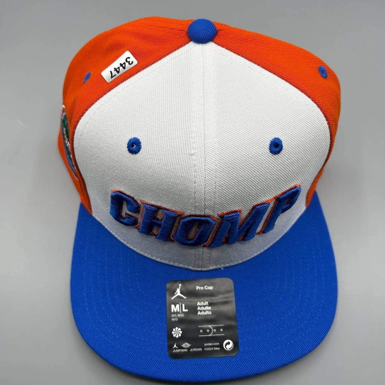 Jordan Brand Florida Gators x Air Jordan Pro Hat Men M-L Dri-Fit SnapBack Size ONE SIZE - 8 Thumbnail