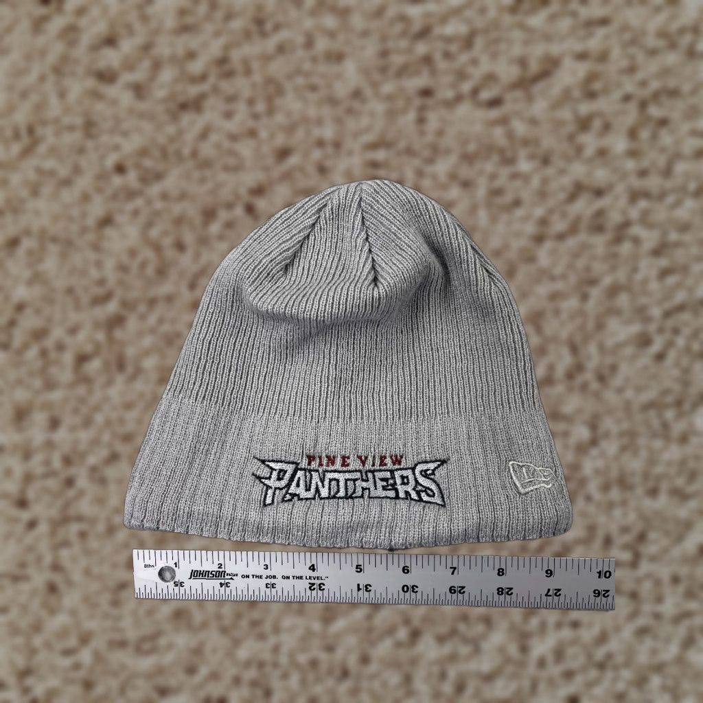 New Era Pineview Panthers Beanie Toque Adult One Size Gray Knit Acrylic Polyester Lined Size US 35 - 1 Thumbnail