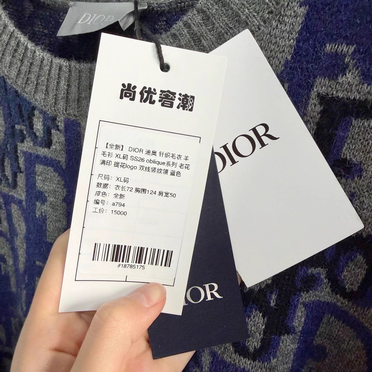 Dior DIOR SS26 Oblique Monogram Wool Sweater XL Blue Size US XL / EU 56 / 4 - 5 Thumbnail
