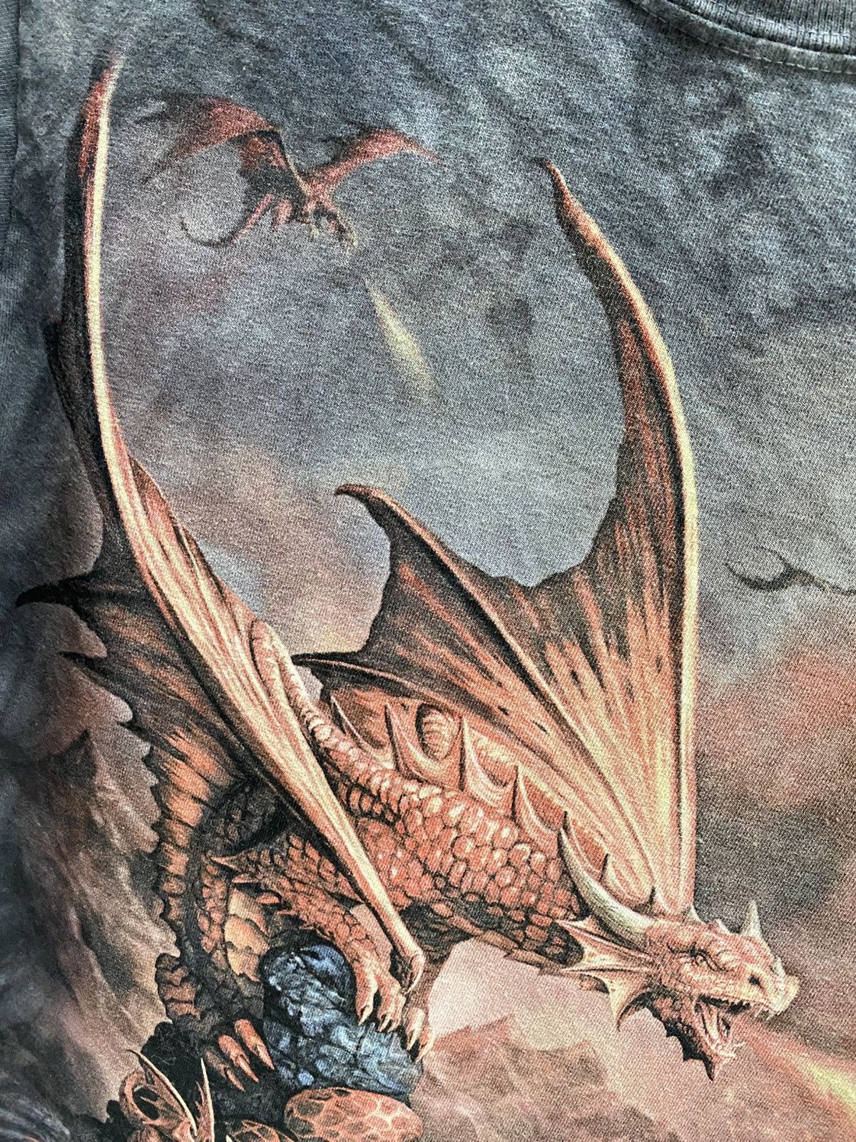 The Mountain THE MOUNTAIN AGE OF DRAGON TSHIRT Size US S / EU 44-46 / 1 - 5 Thumbnail
