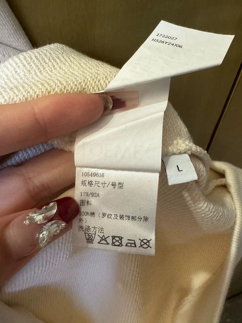Loewe LOEWE Sable embroidered beige hoodie Size L / US 10 / IT 46 - 5 Thumbnail
