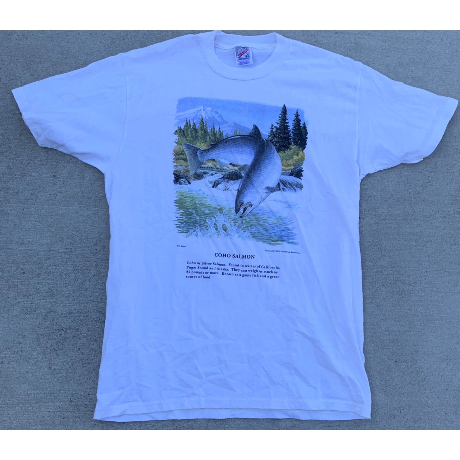 Jerzees VINTAGE Jerzees Coho Salmon T Shirt Men L Graphic Print Crew Neck White 50/50 90s Fish Nature Shirt Size US L / EU 52-54 / 3 - 6 Thumbnail