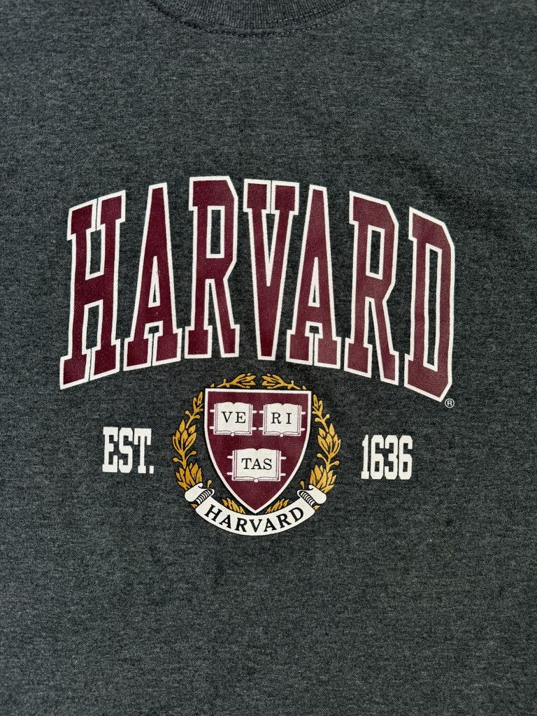 Other Harvard University Ivy League Gray T-Shirt Large Size US L / EU 52-54 / 3 - 2 Thumbnail
