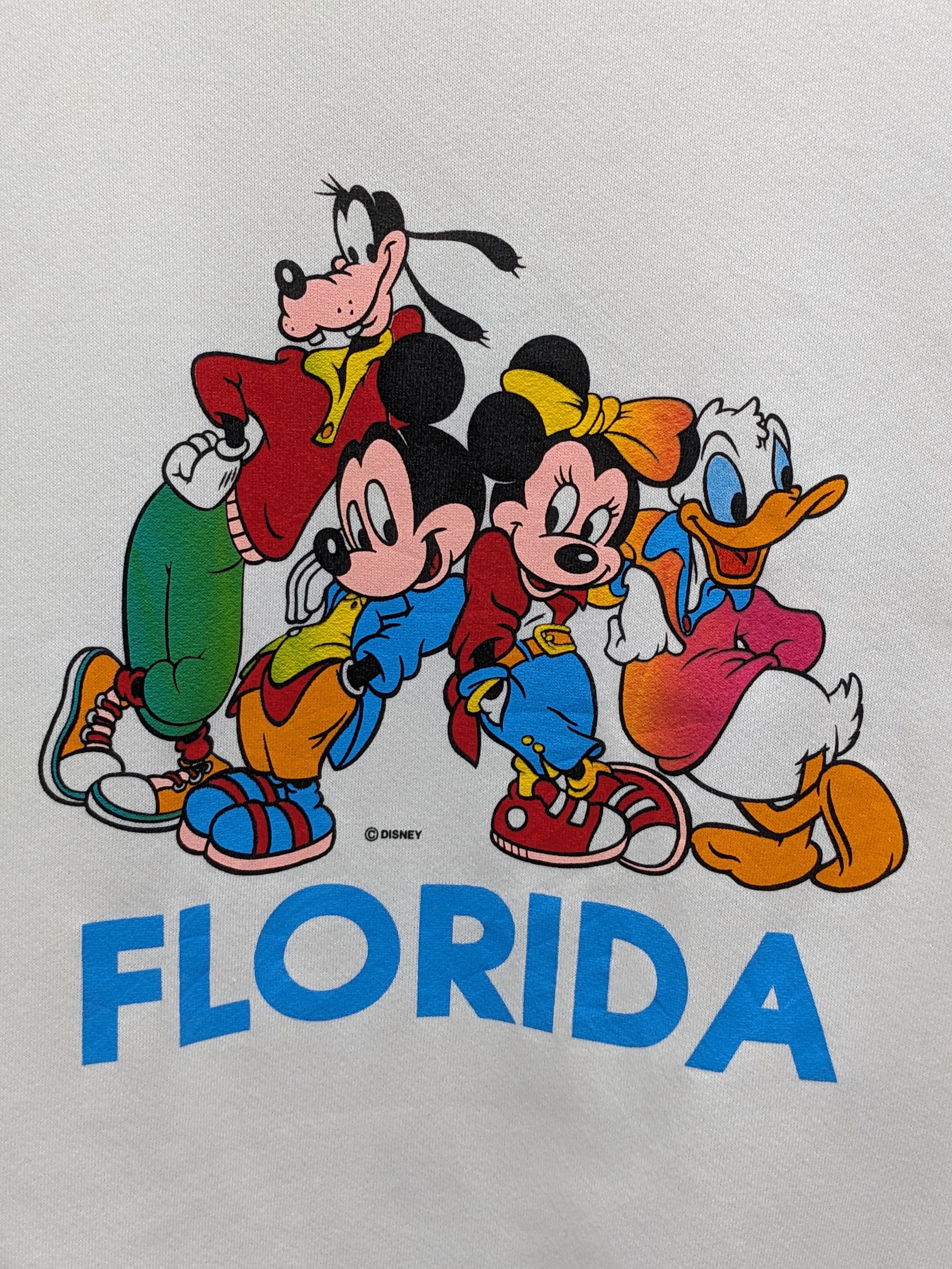 Velva Sheen ntage Velva Sheen USA Made Disney FLORIDA Crewneck Size US L / EU 52-54 / 3 - 3 Thumbnail