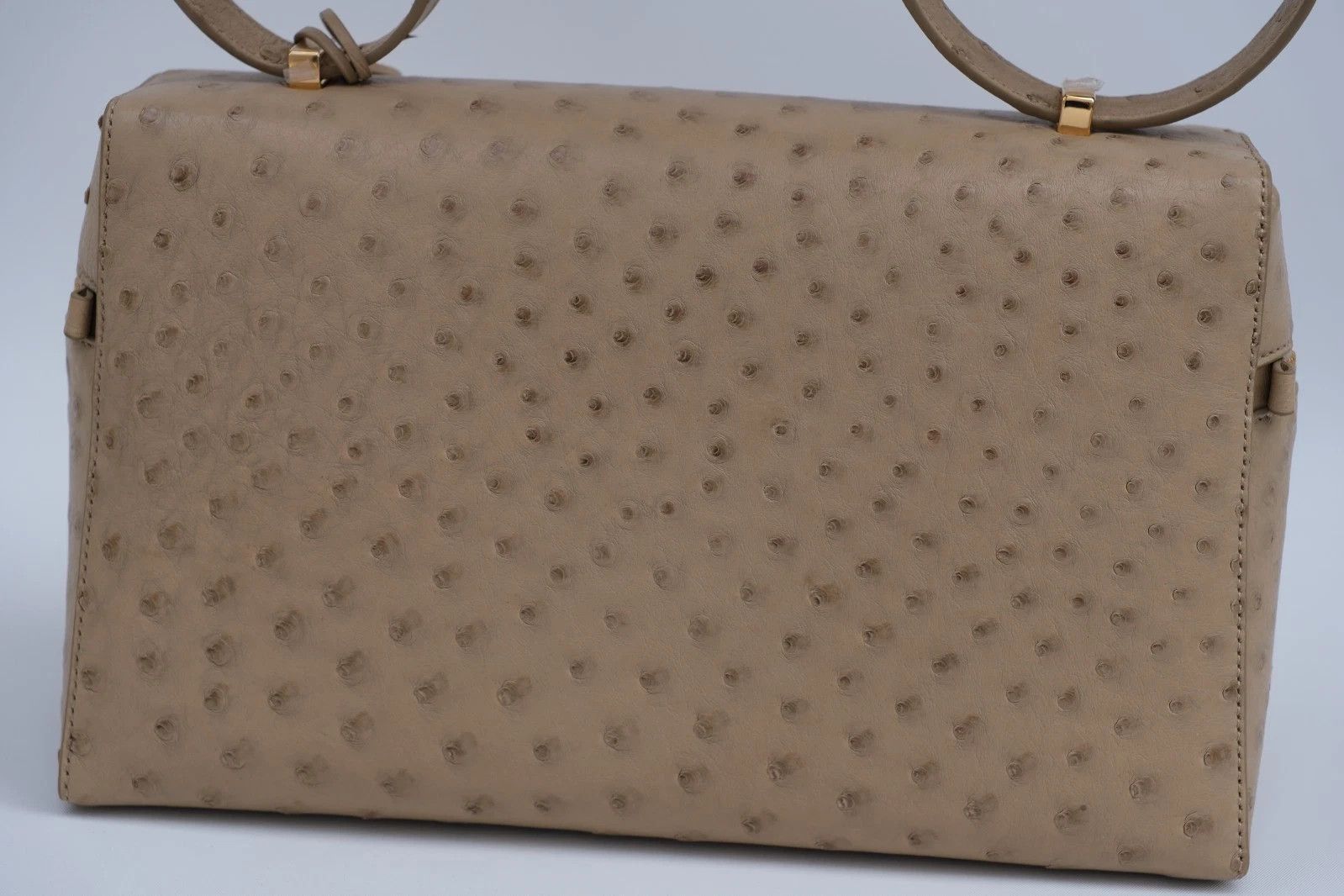 Loro Piana RARE Loro Piana Extra Bag Pocket L27 Ostrich Exotic Sun Gold Size ONE SIZE - 4 Thumbnail