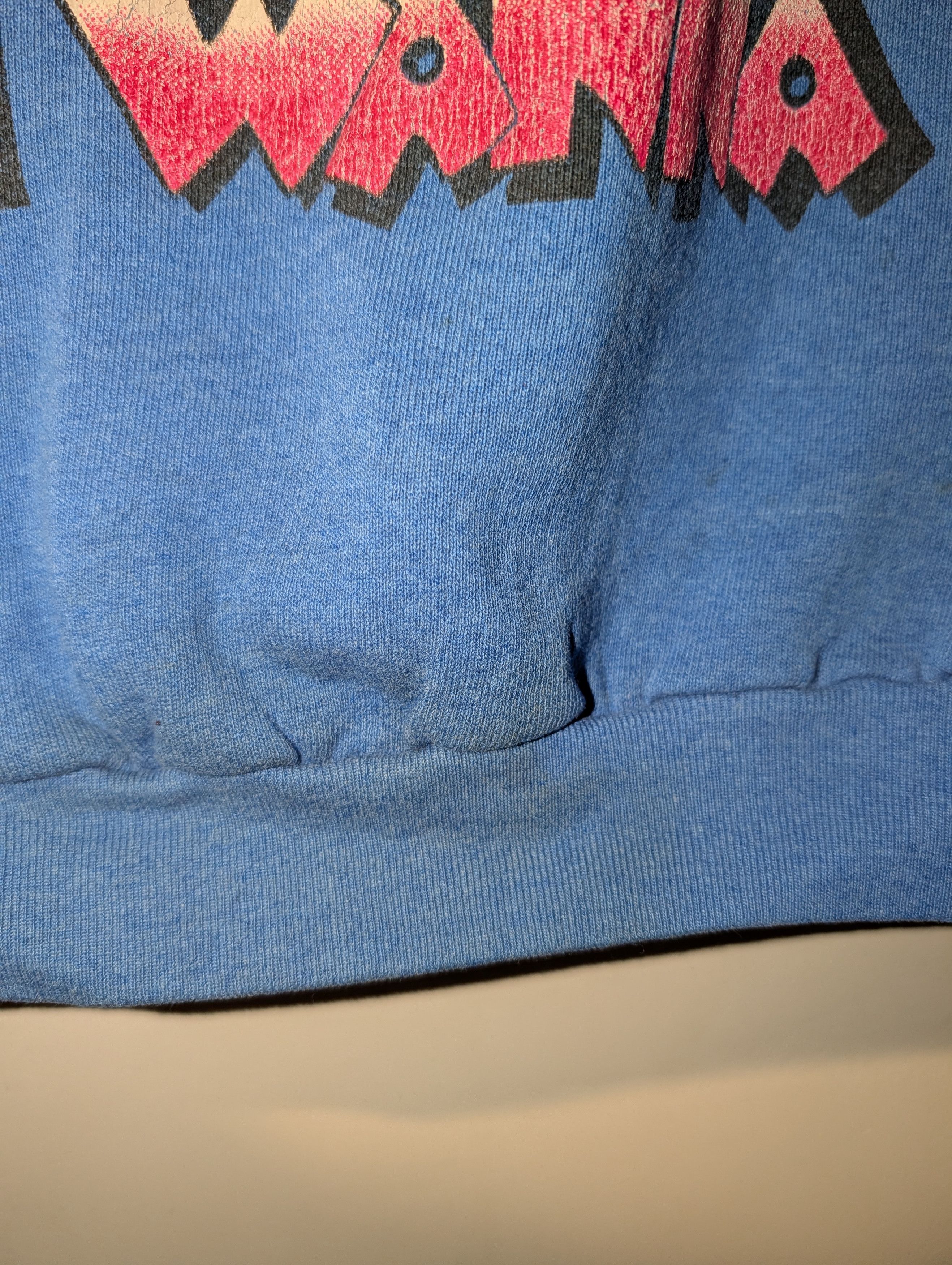 Cartoon Network 90s VINTAGE LOONEY TUNES Blue Tweety Bad As Sweatshirt Size US L / EU 52-54 / 3 - 6 Thumbnail