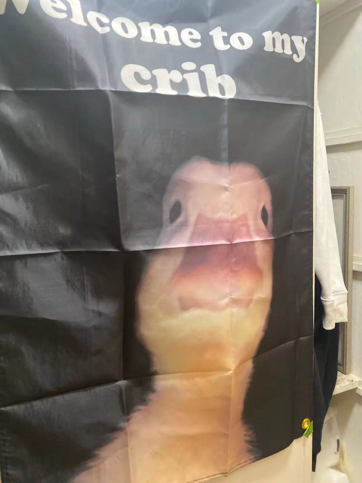 Other "Welcome to My Crib" Flag With Brass Grommet Decor Size ONE SIZE - 5 Thumbnail