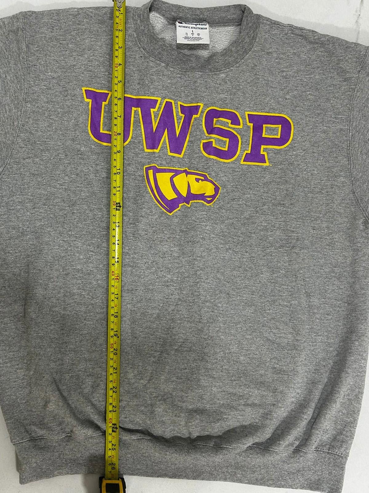 Champion Champion UWSP Grey Sweatshirt Large Size US L / EU 52-54 / 3 - 5 Thumbnail