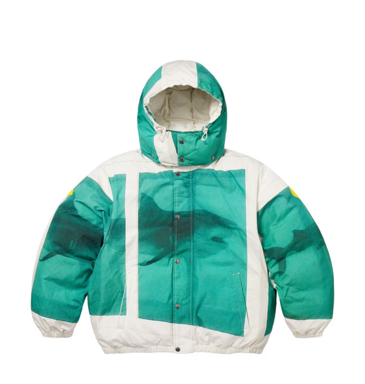 Damien Hirst × Supreme Supreme Damien Hirst Down Puffer Jacket 