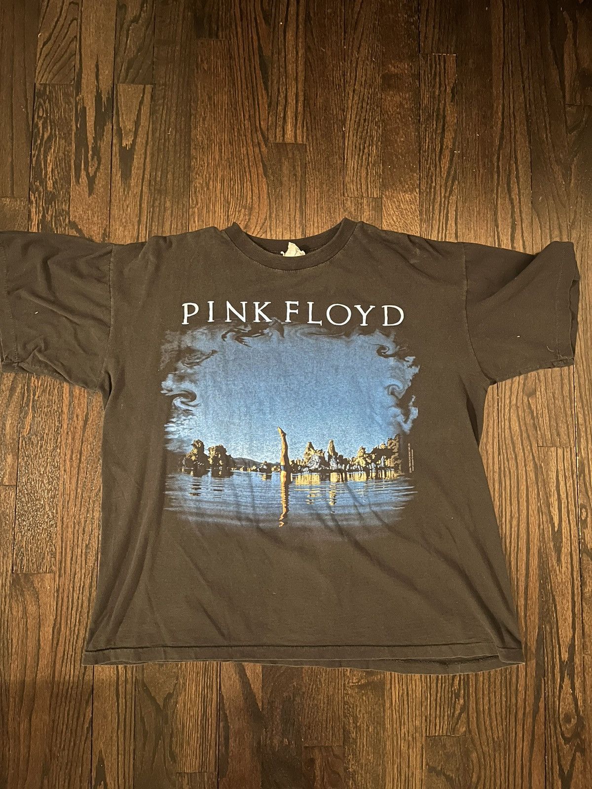 Image of Band Tees x Brockum Pink Floyd Wish You Were Here Brockum Vintage T Shirt in Black, Men's (Size XL)