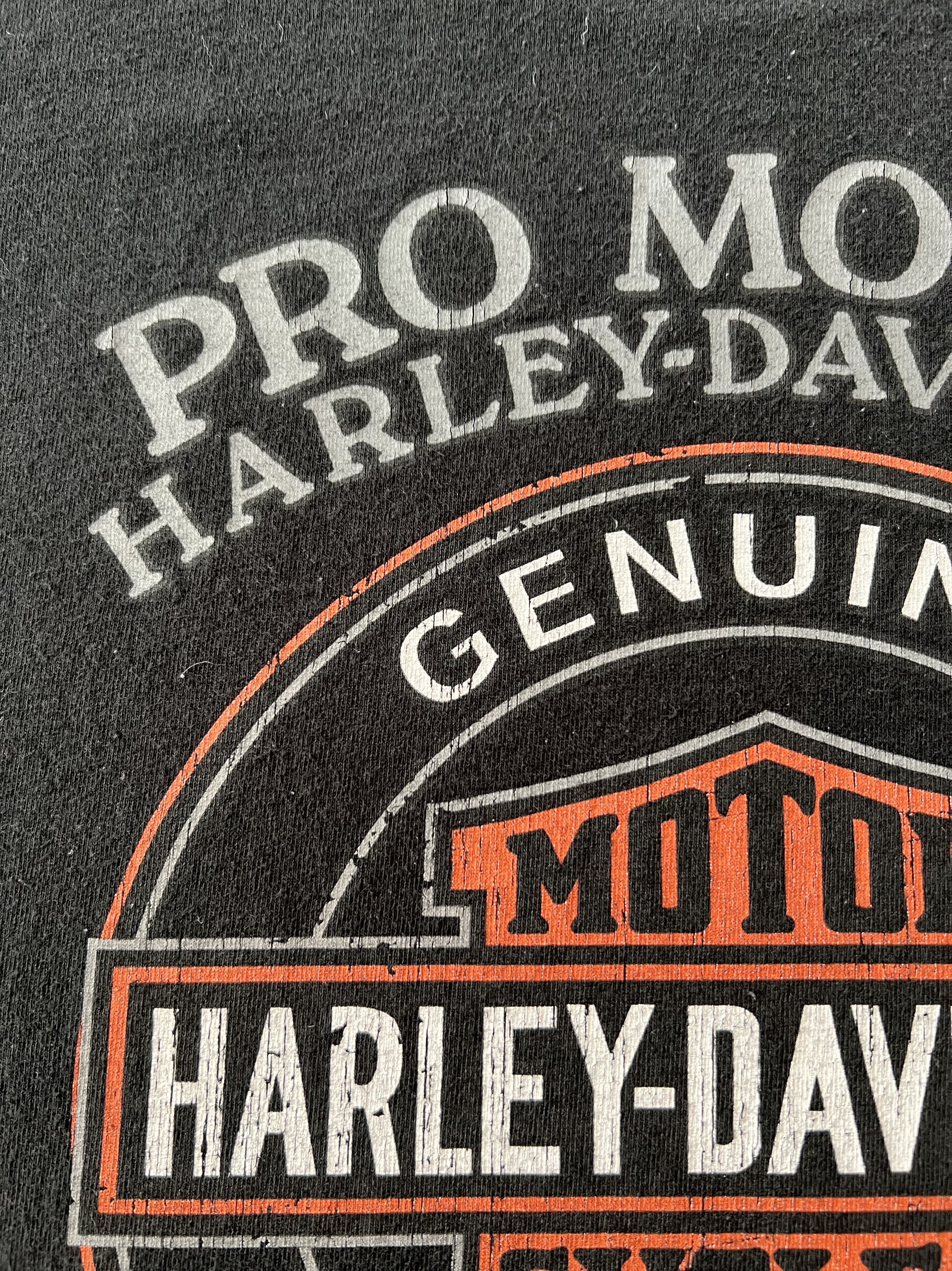 Harley Davidson Vintage 2014 Harley Davidson Sexy Girl Switzerland T-shirt Size US L / EU 52-54 / 3 - 16 Thumbnail