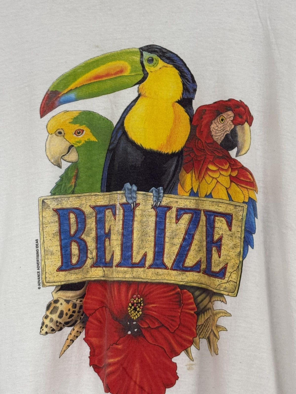 Vintage Vintage 3XL XXXL Belize Parrots Bird Animal Tee White Size US XXL / EU 58 / 5 - 4 Thumbnail