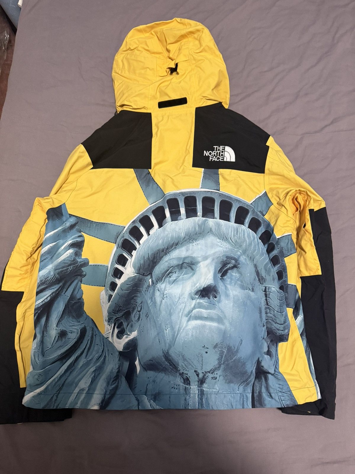 Supreme × The North Face Supreme tnf north face statue of liberty mountain jacket Size US M / EU 48-50 / 2 - 5 Thumbnail