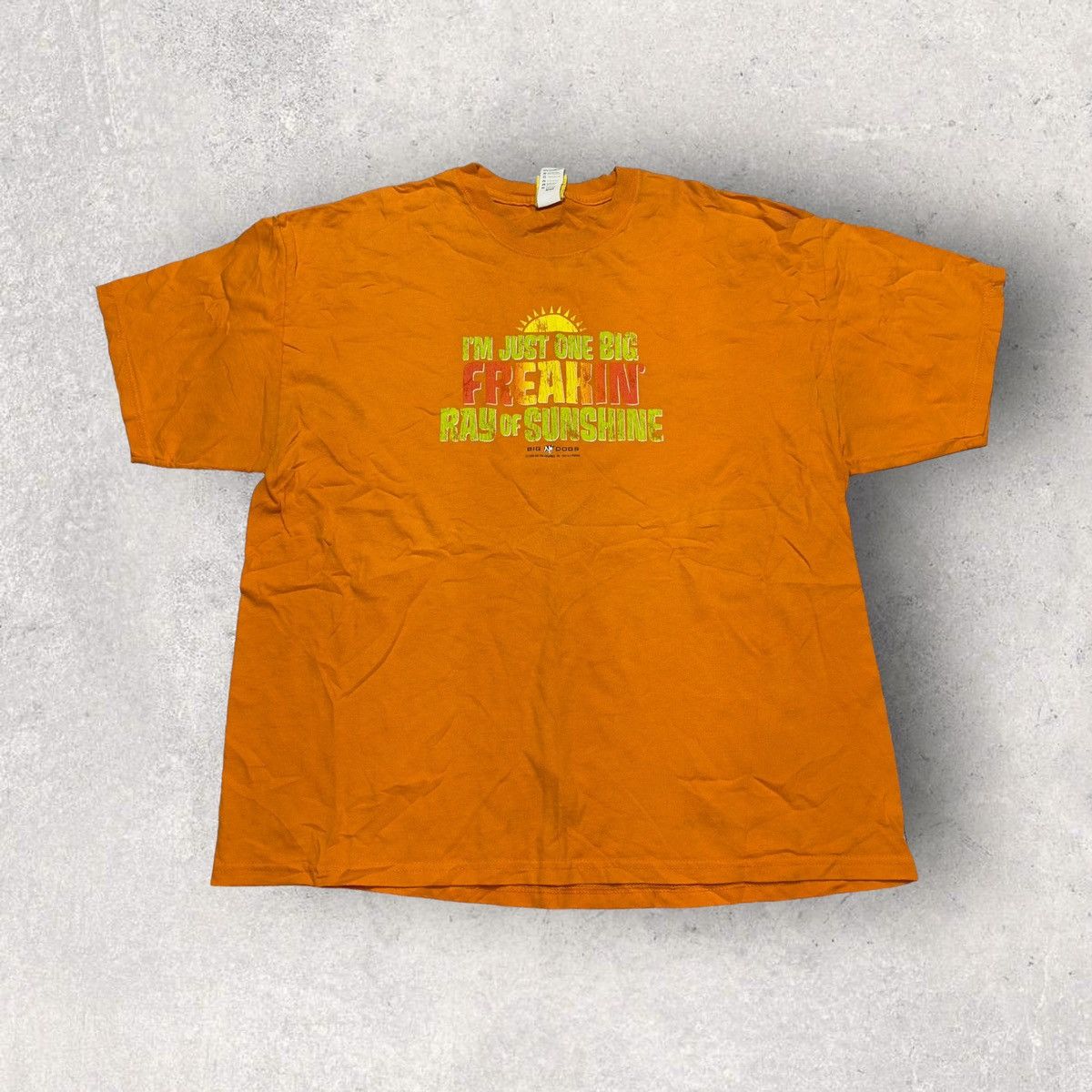 Big Dogs × Vintage Vintage Big Dogs tee Size US XL / EU 56 / 4 - 1 Thumbnail