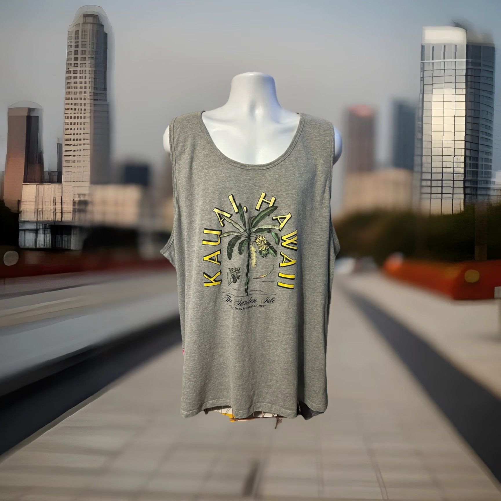 Old Navy Old Navy Kauai Hawaii Tank Top Men 4XL Heather Gray Beach Shirt Sleeveless Crew Neck Summer All Seasons Hawaii 4XL Mens Gray Tank Top Size US XXL / EU 58 / 5 - 6 Thumbnail