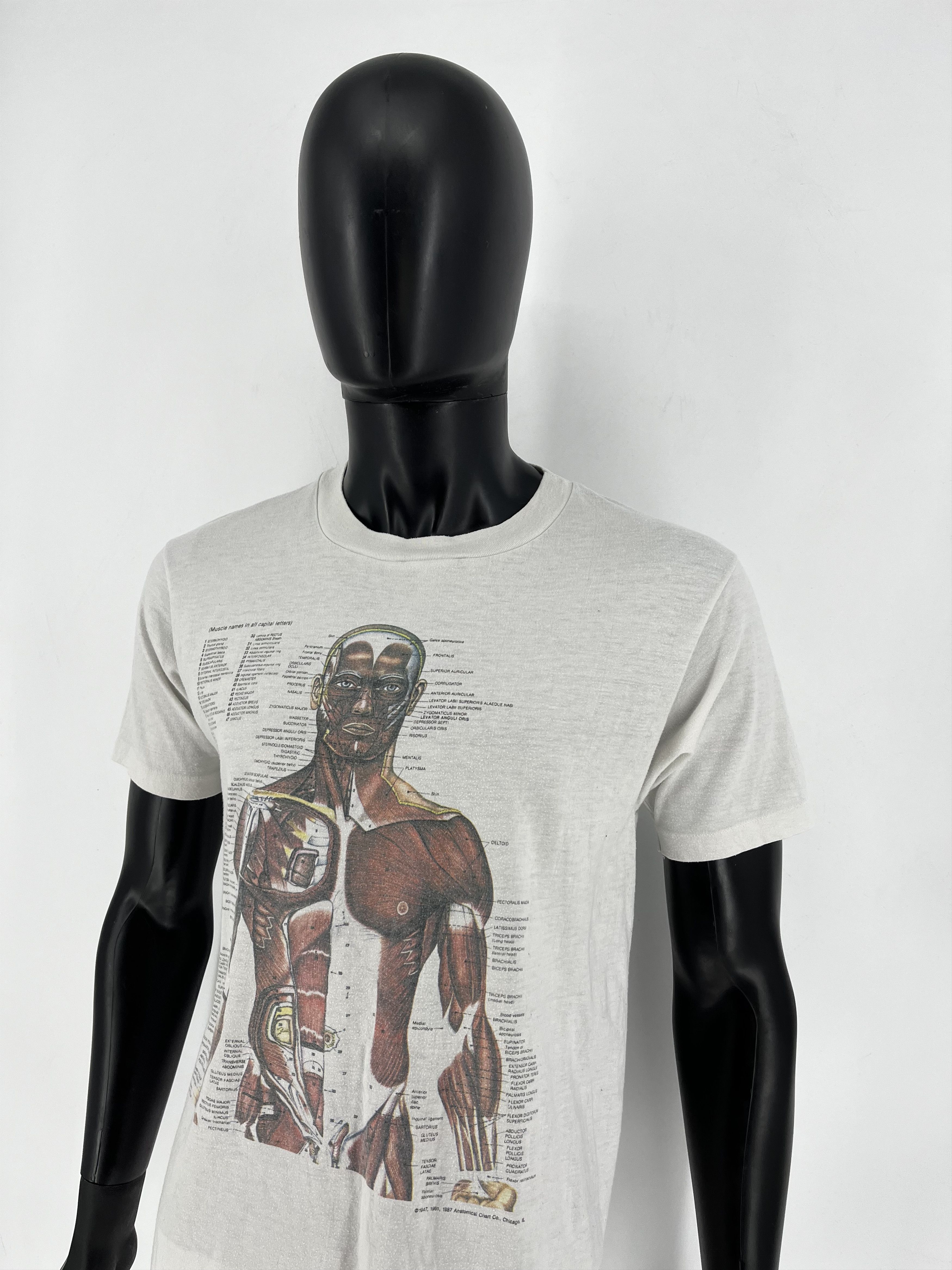 Nirvana Anatomy Muscle Shirt Same Print as Kurt Cobain Rare Medical Size US L / EU 52-54 / 3 - 4 Thumbnail