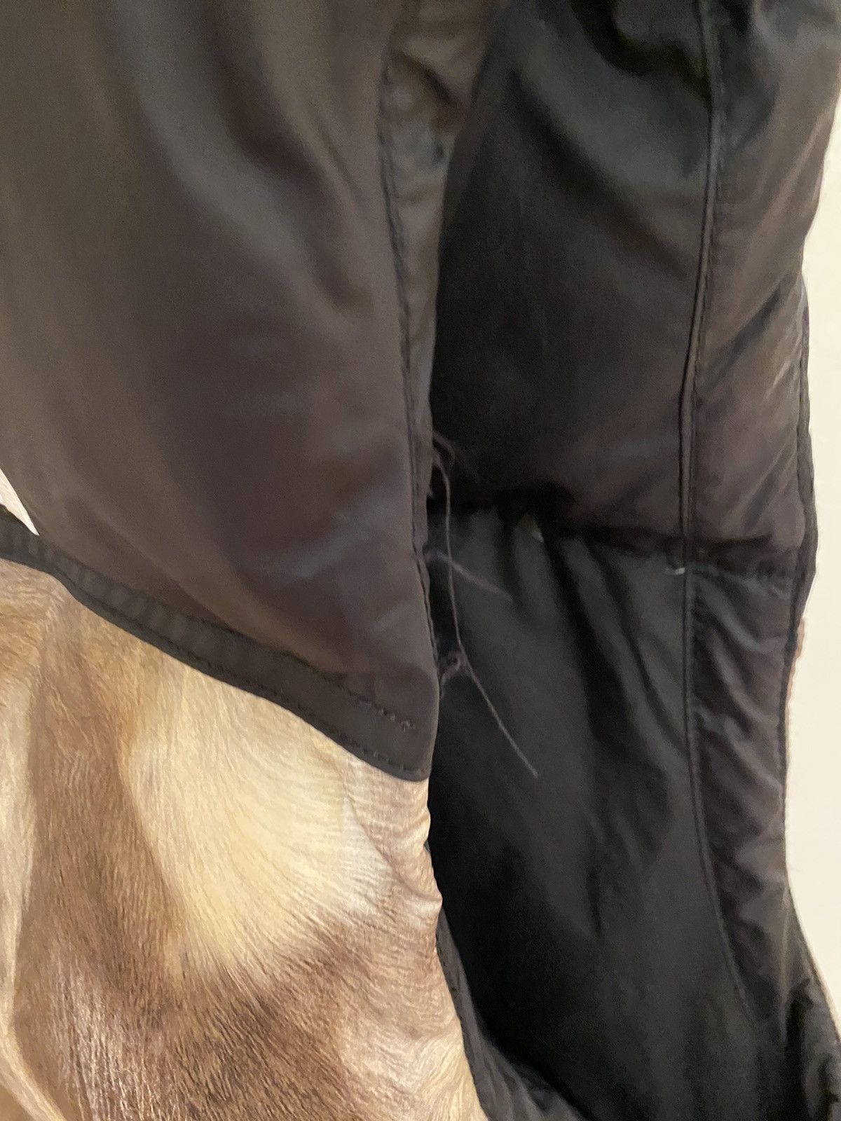 Supreme × The North Face Supreme The North Face Nupste Vest Size US XL / EU 56 / 4 - 12 Thumbnail