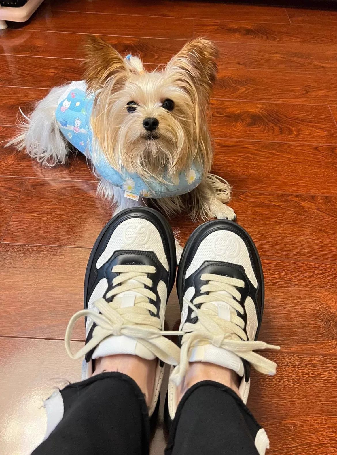 Gucci Gucci Panda Sneakers Black & White Size US 6 / IT 36 - 9 Thumbnail