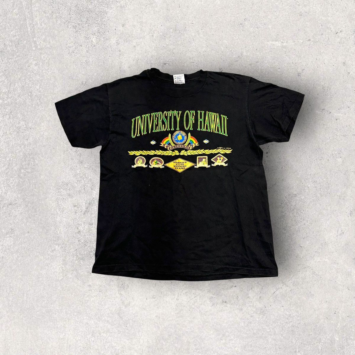 Hanes × NCAA × Vintage Vintage Hawaii Rainbows tee Size US L / EU 52-54 / 3 - 1 Thumbnail