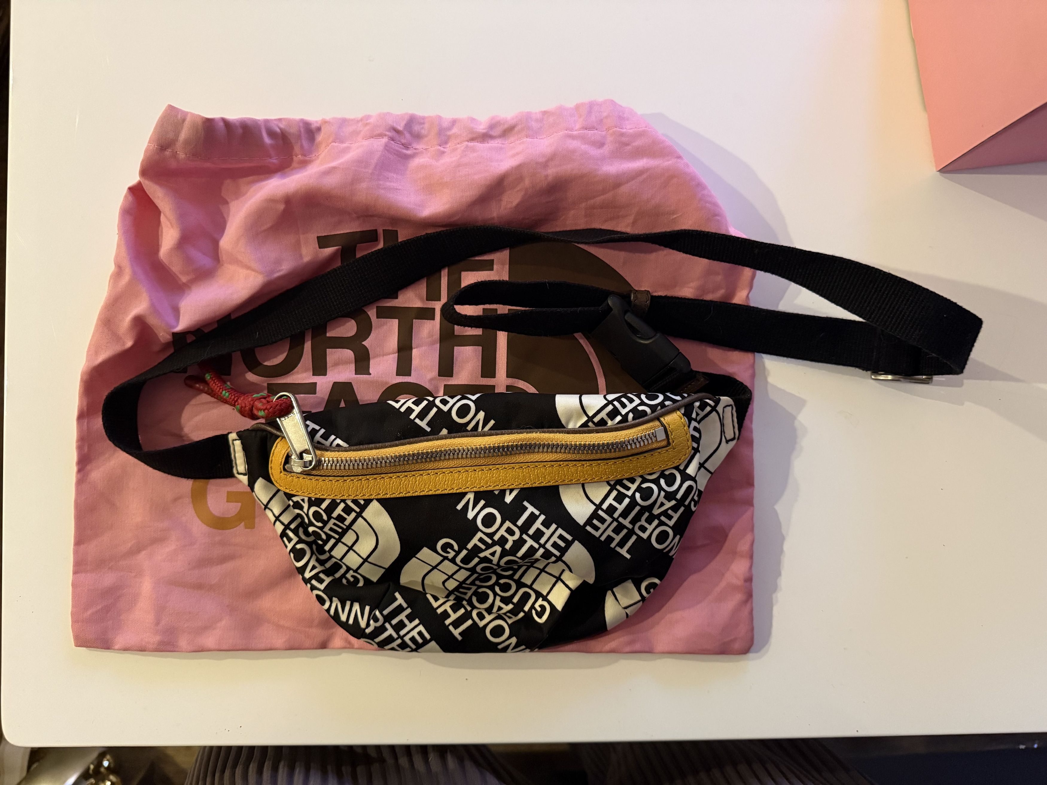 Gucci × The North Face Gucci x North Face Logo Belt Bag Size ONE SIZE - 2 Thumbnail