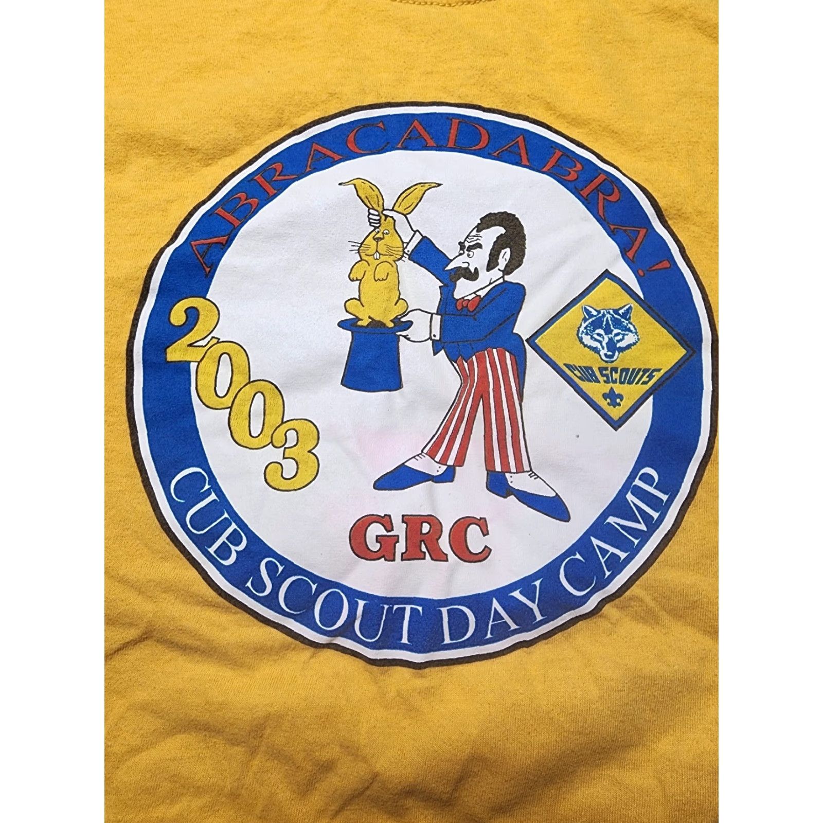Vintage VINTAGE Cub Scouts Day Camp 2003 T Shirt Mens XL Yellow Short Sleeve Crew Neck 90s Retro Graphic Print US Made Size US XL / EU 56 / 4 - 2 Thumbnail