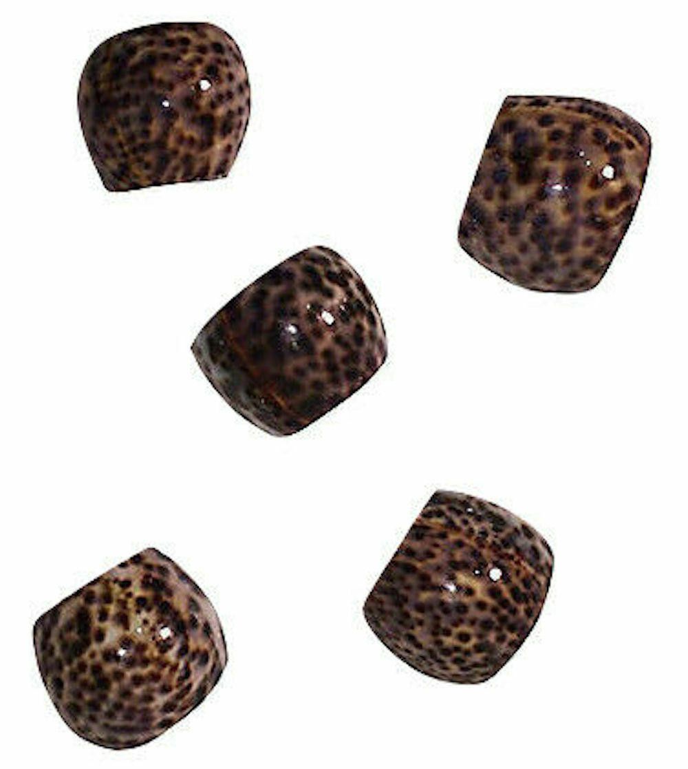Designer Tiger Cowrie Shell Napkin Holders, S/5 Size ONE SIZE - 2 Thumbnail