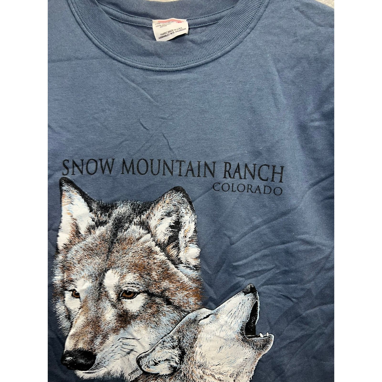 Anvil Vintage Snow Mountain Ranch Shirt Wolf Wolves Tee 90s M Size US M / EU 48-50 / 2 - 5 Thumbnail
