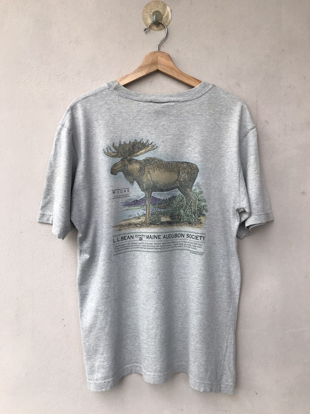 L.L. Bean Vintage L.L Bean Moose Alces Americana Tee Size US M / EU 48-50 / 2 - 7 Thumbnail
