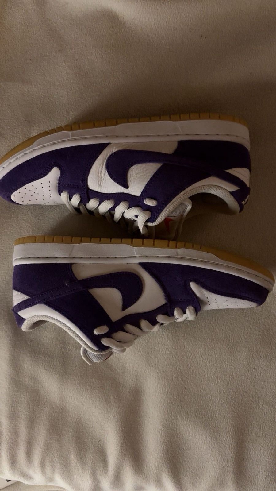 Nike SB dunk low pro ISO