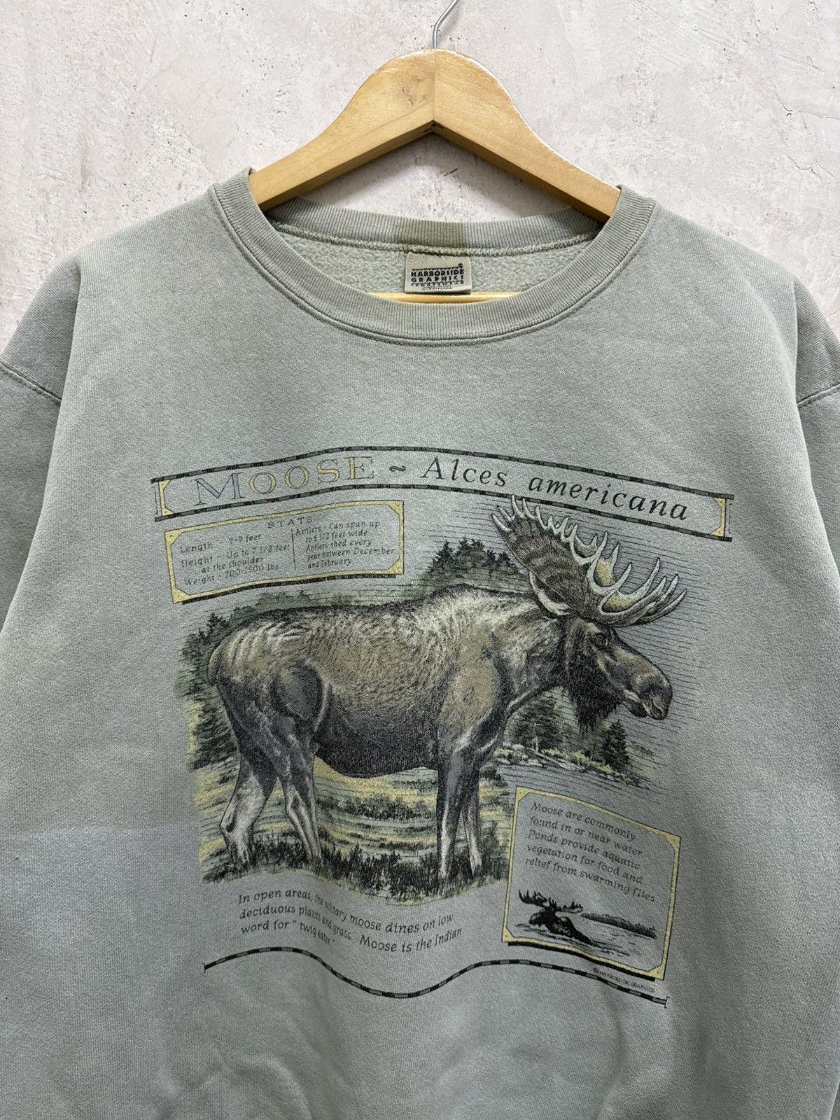 Vintage Sun Faded Moose Thrashed Sweatshirt Size US M / EU 48-50 / 2 - 2 Thumbnail