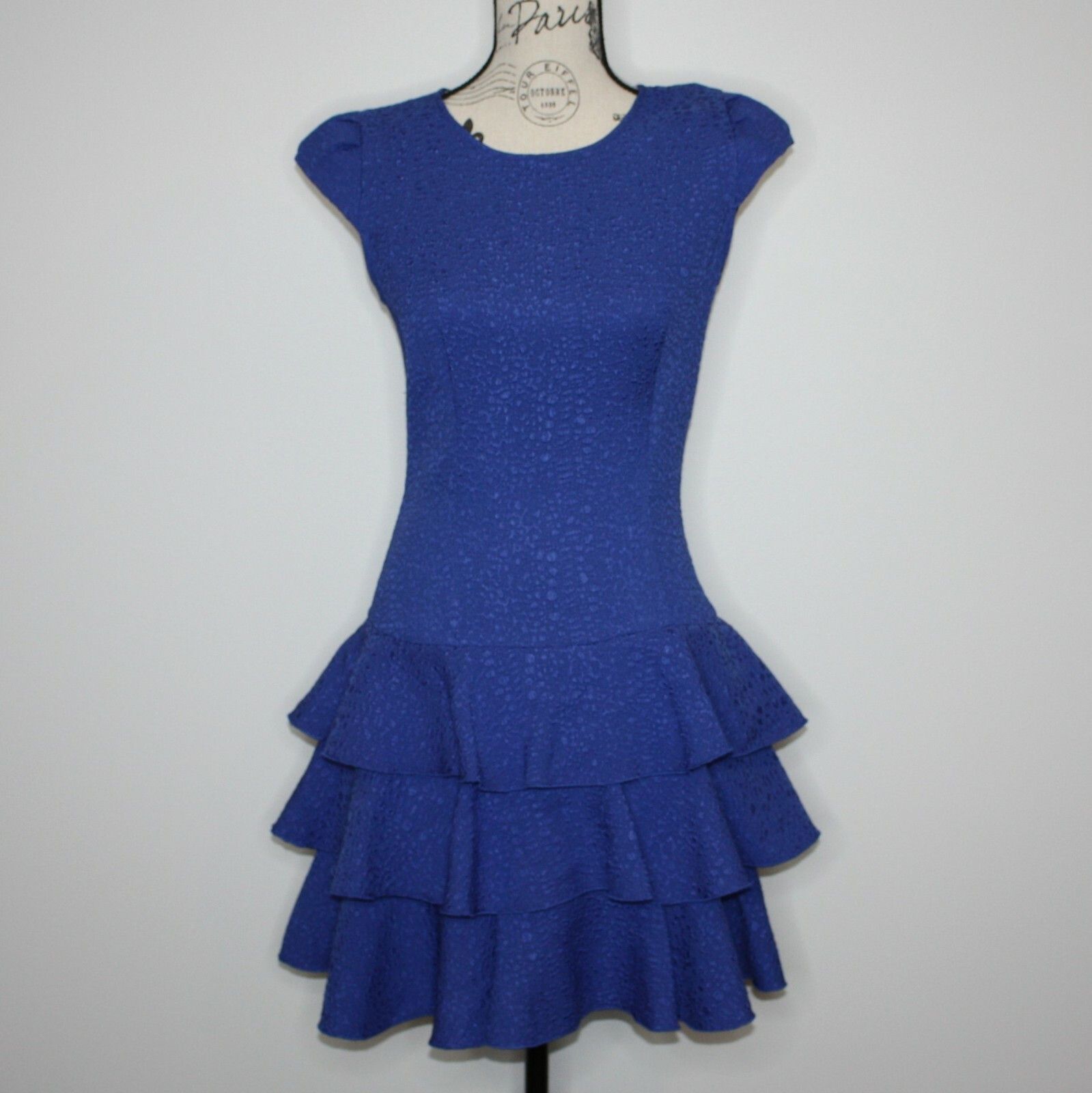 Rachel Zoe Ginta Drop Waist Ruffle Dress in Blue size 6 NWT MSRP $275 Size M / US 6-8 / IT 42-44 - 10 Thumbnail