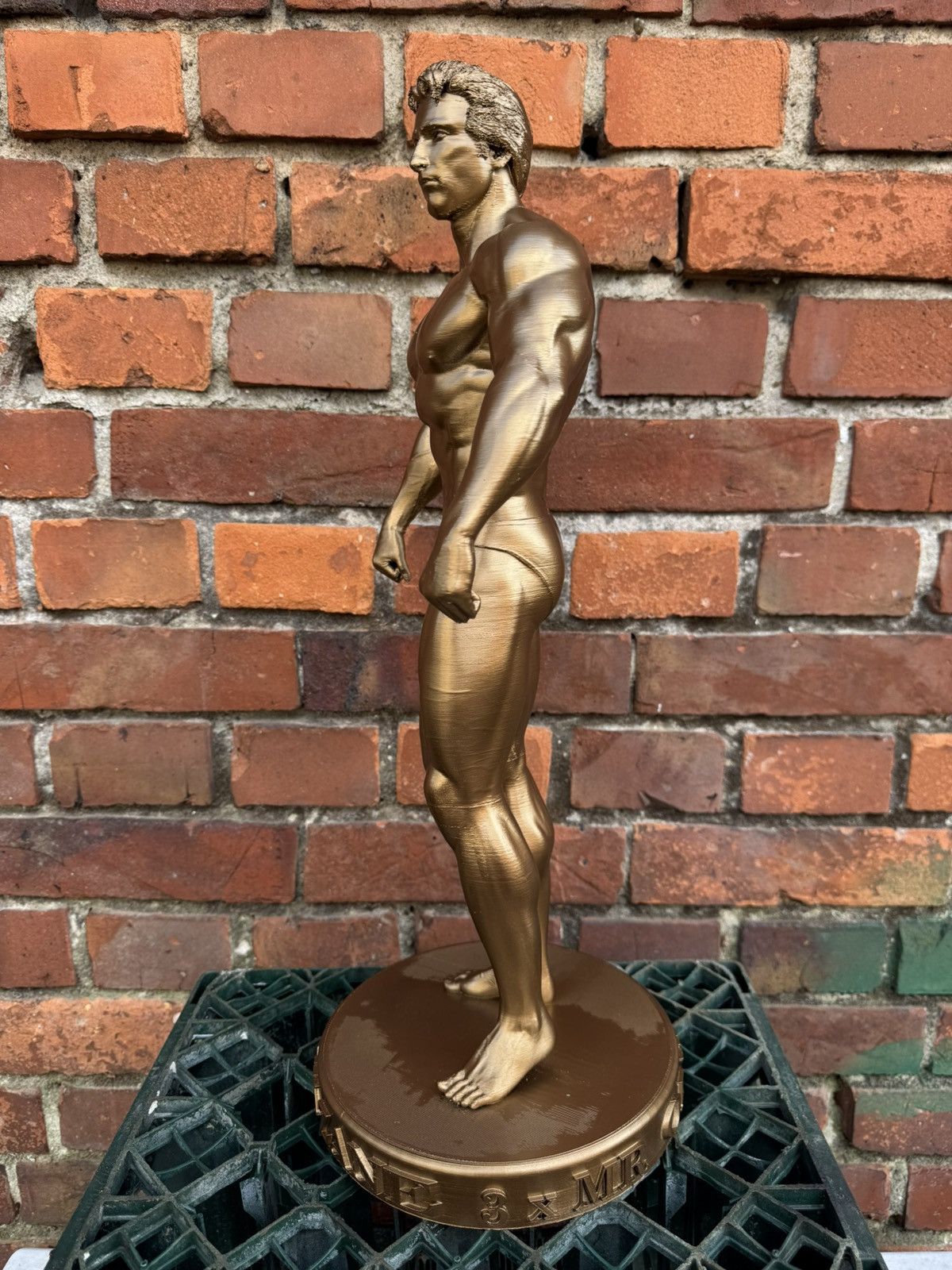 Other Gym statue Frank Zane Mr Olympia Bodybuilding 35cm Size ONE SIZE - 9 Thumbnail