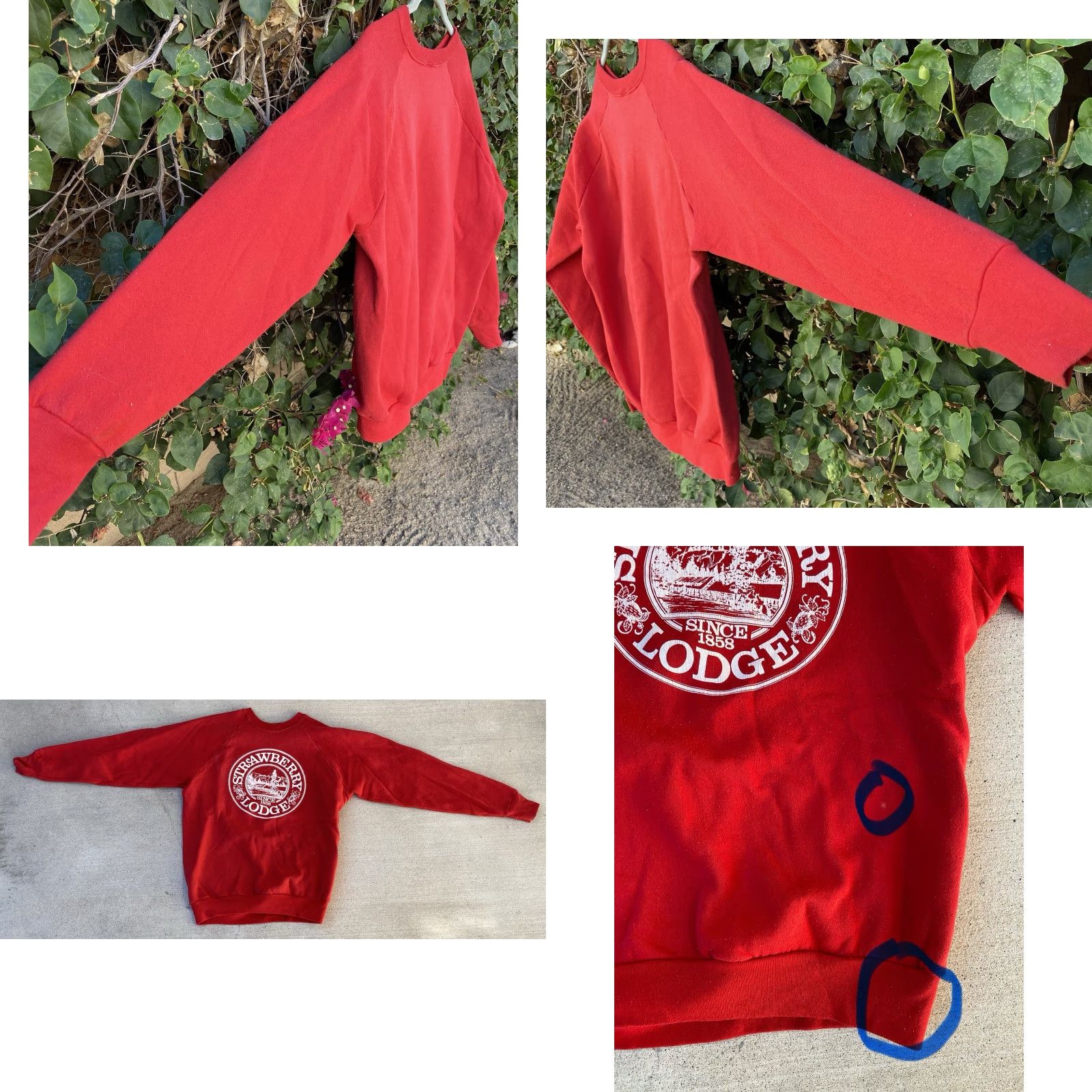 Fruit Of The Loom VINTAGE Fruit of the Loom Raglan Sweatshirt Graphic Print Red Strawberry Lodge Since 1858 L Men Shirt pullover Size US L / EU 52-54 / 3 - 9 Thumbnail