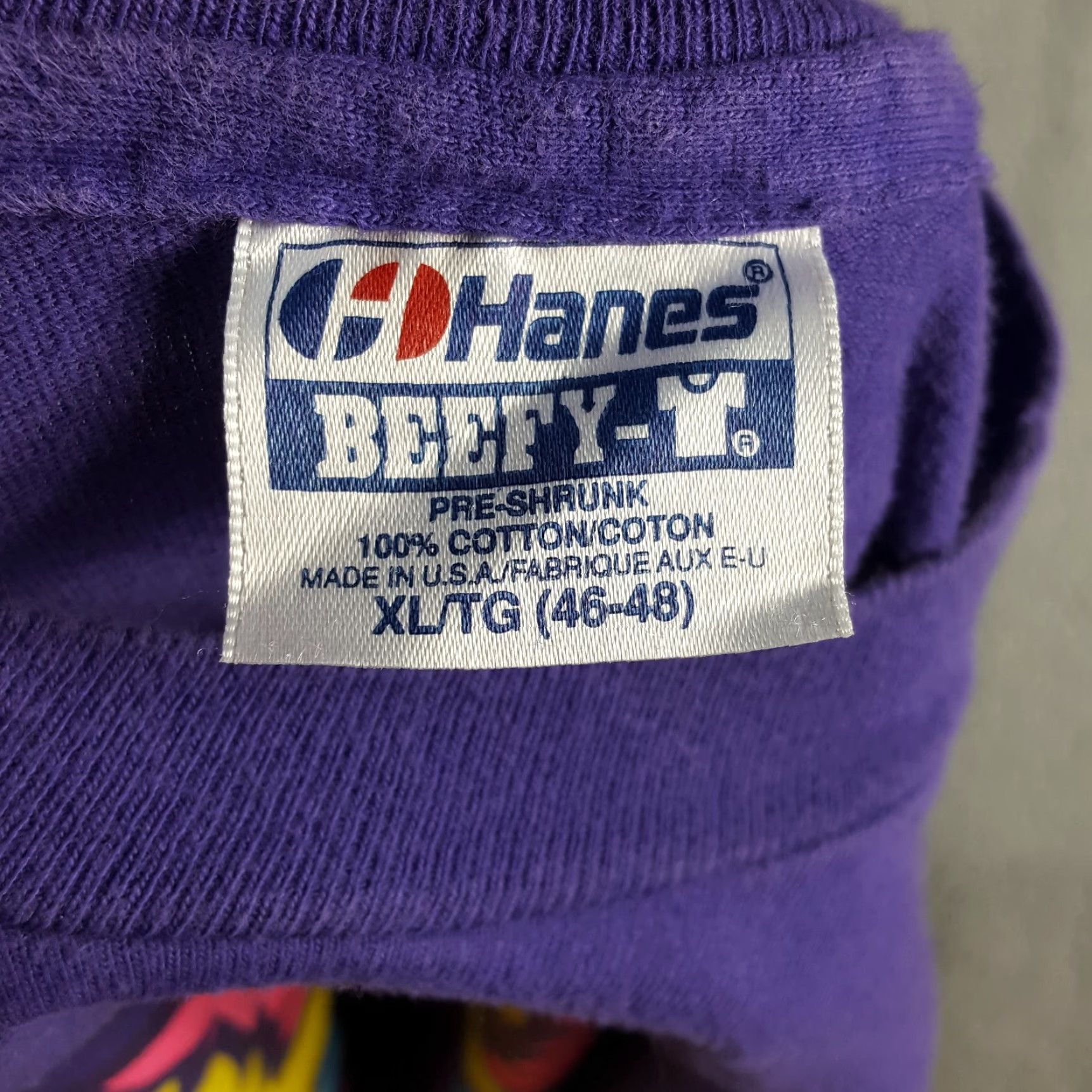 Hanes Vintage Hanes 90s T-Shirt Men XL Autumn Festival Nature Cotton Purple Y2K Vintage Outdoor Market Size US XL / EU 56 / 4 - 7 Thumbnail