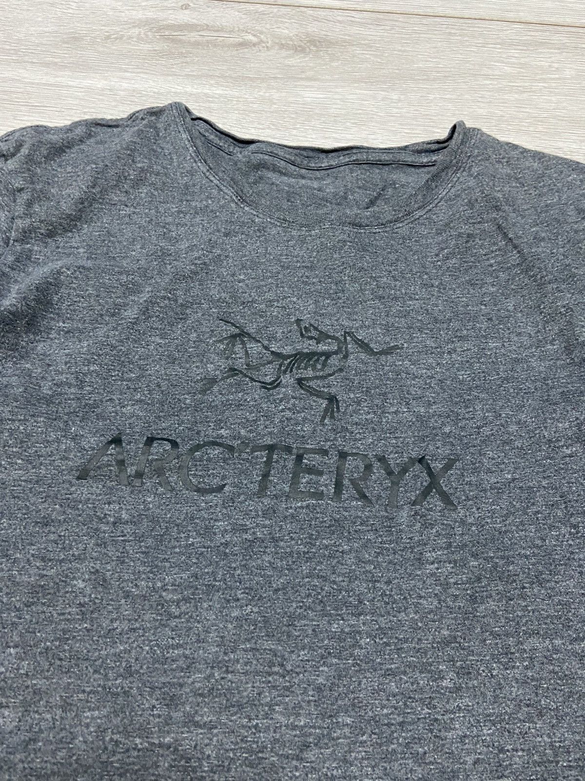 Arc'teryx Arcteryx big logo bird vintage tee Size US S / EU 44-46 / 1 - 3 Thumbnail