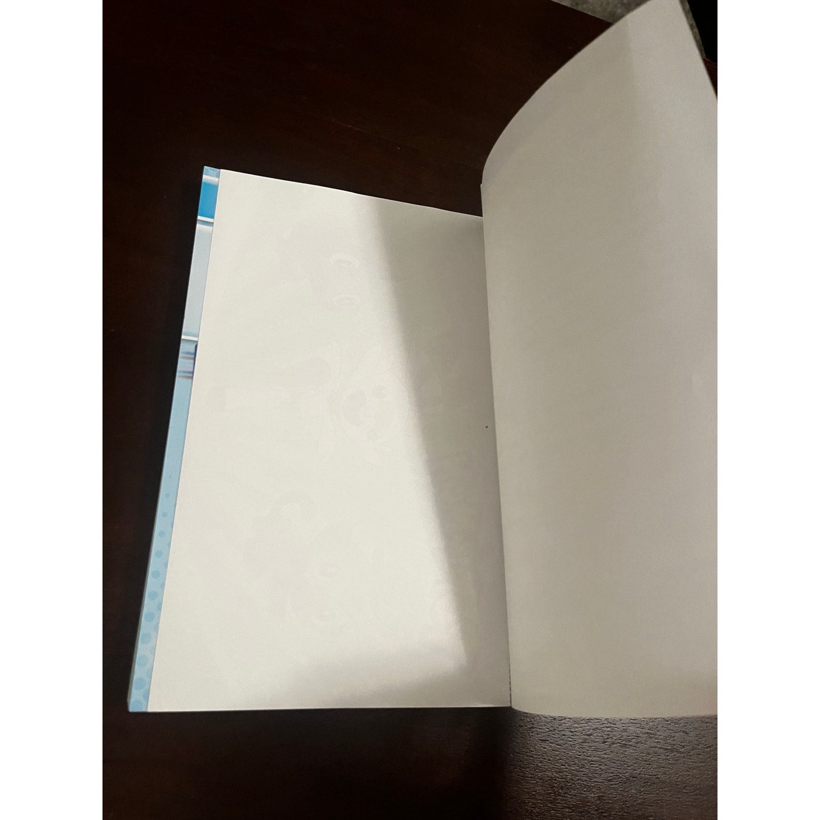 Pokemon Pokémon: Handbook to the Galar Region Picture Book Size ONE SIZE - 4 Thumbnail
