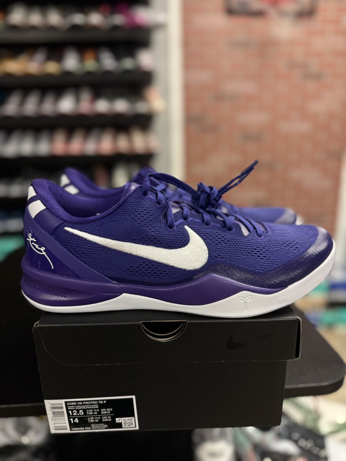 Nike Kobe VIII 8 Protro TB Promo Purple Size 12.5 HM6469-500 PE Size US 13 / EU 46 - 13 Thumbnail