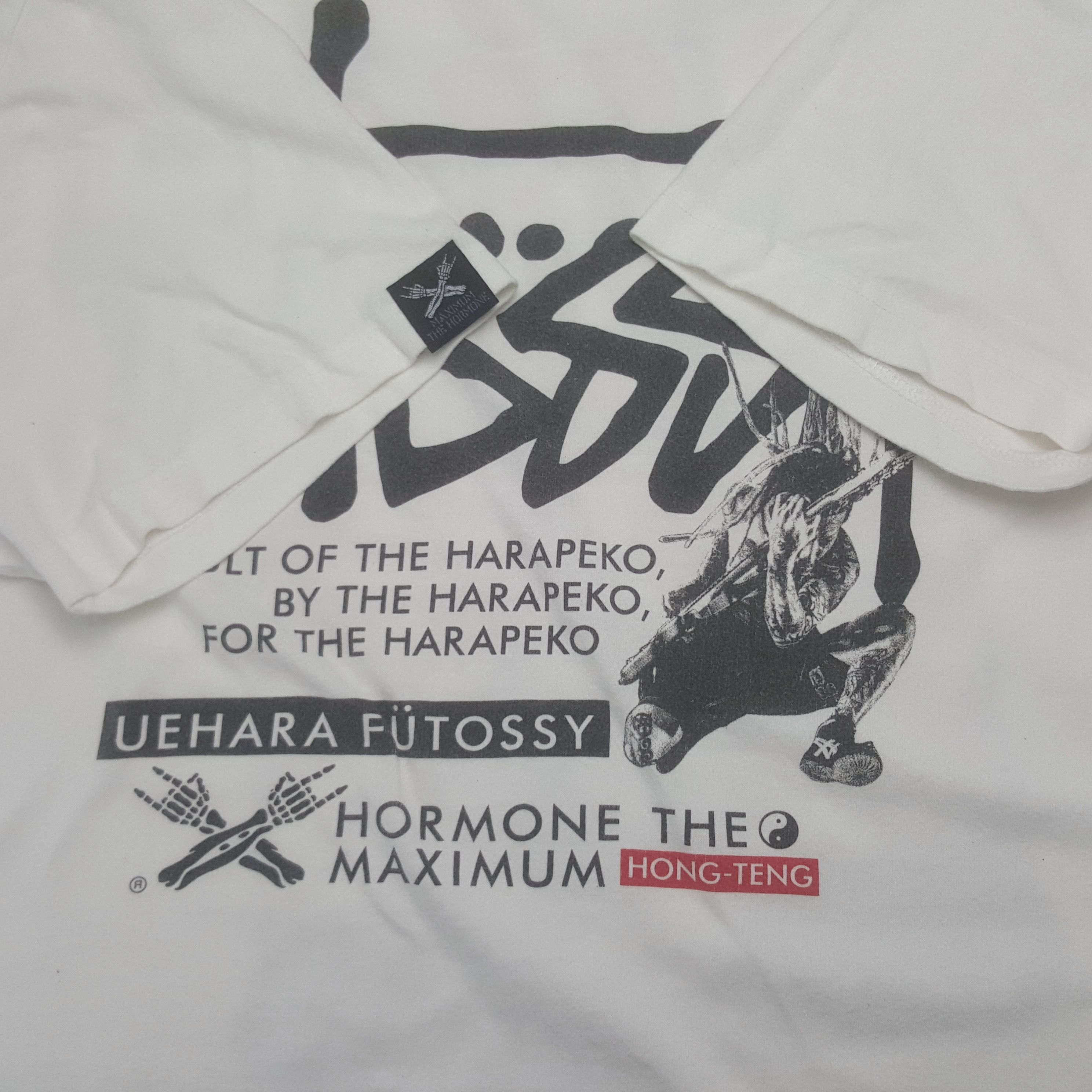 Band Tees × Vintage Vintage Maximum The Hormone Japanese Heavy Metal Band Tshirt Size US L / EU 52-54 / 3 - 7 Thumbnail