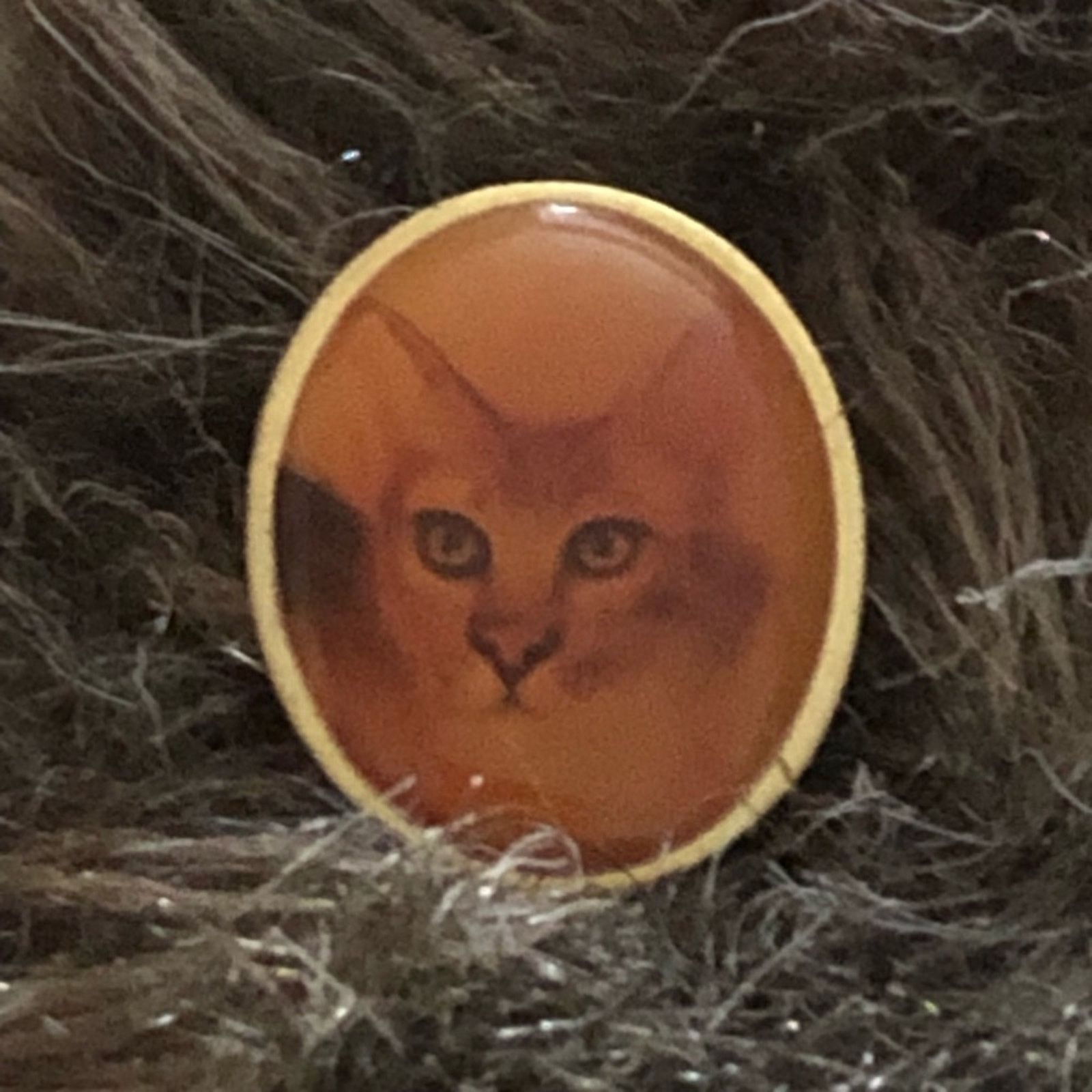 Vintage Vintage glaring cat resin coated tac pin Size ONE SIZE - 1 Thumbnail