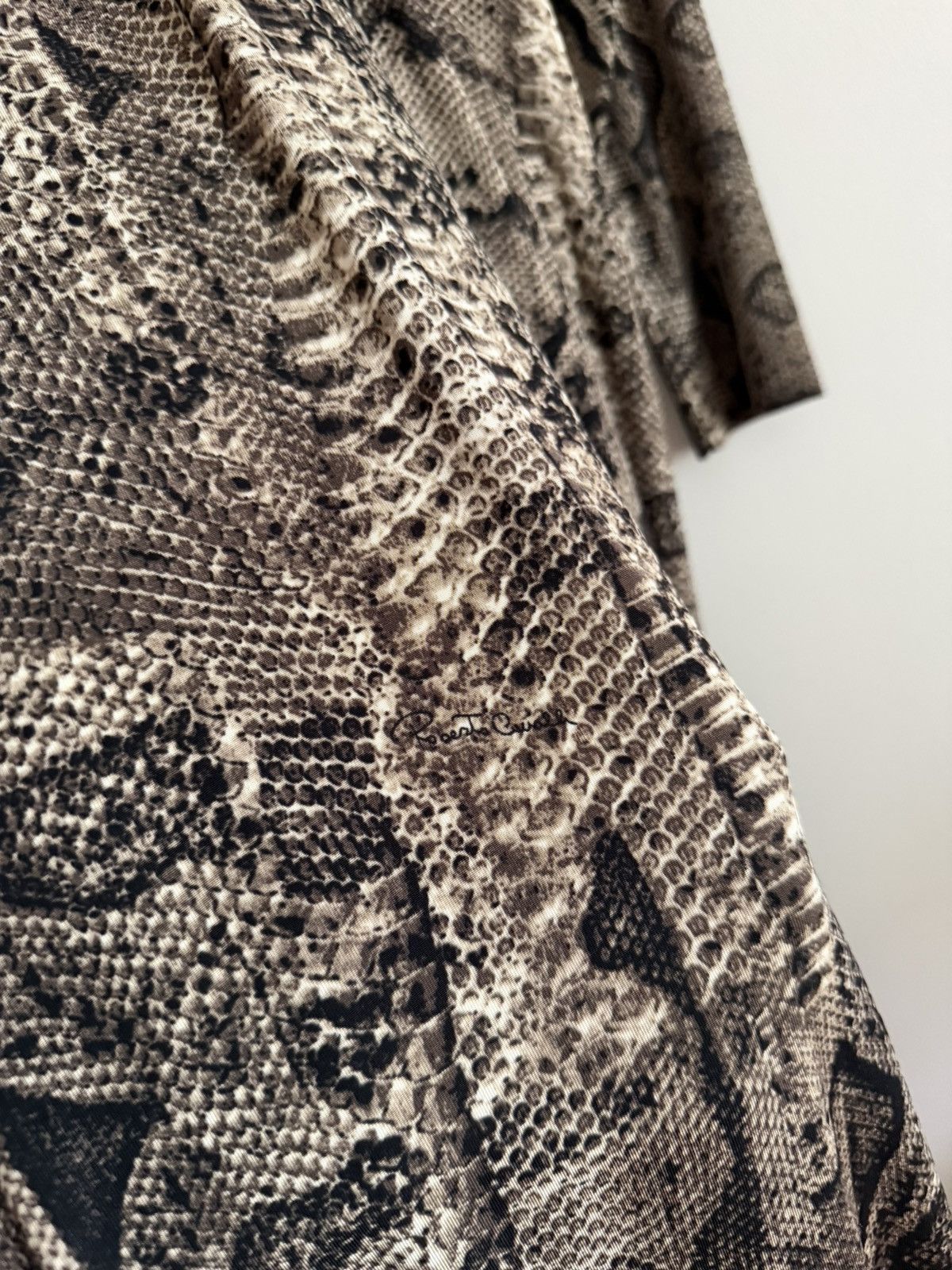 Roberto Cavalli Vintage Archive Roberto Cavalli Snake Print Maxi Dress Size L / US 10 / IT 46 - 5 Thumbnail