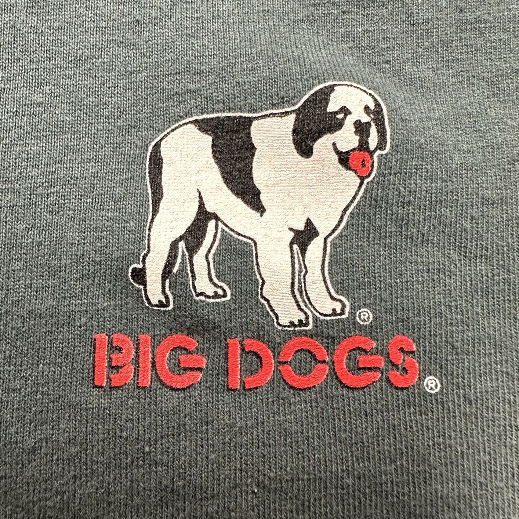 Big Dogs Big Dogs Shirt Mens 2XL Green Casual Lava Java Coffee Co Eruption FUC Size US XXL / EU 58 / 5 - 5 Thumbnail