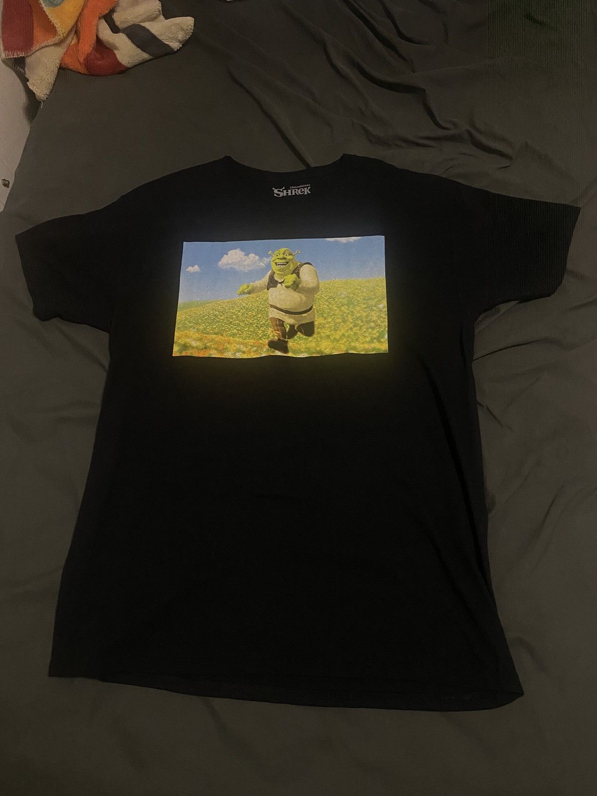 Other Shrek Graphic Tee Size US L / EU 52-54 / 3 - 1 Thumbnail