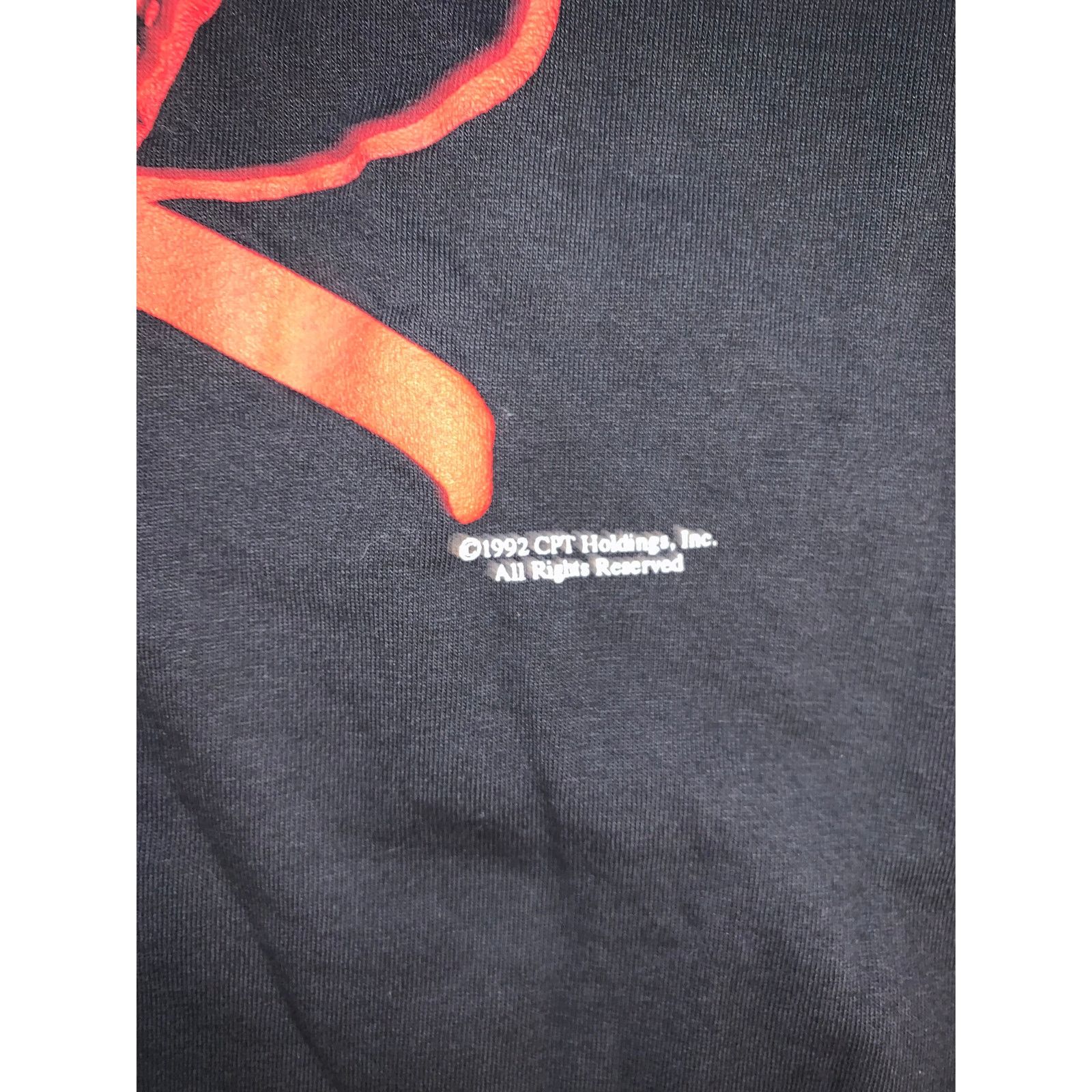 Gildan Vintage 90s Young And The Restless T Shirt XL Gildan Canada Size US XL / EU 56 / 4 - 3 Thumbnail