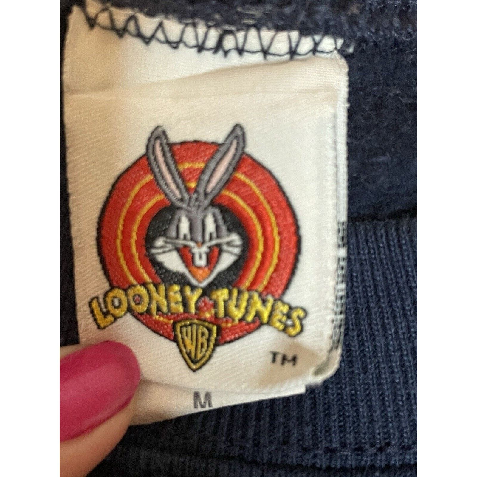 Other Vintage 90s Looney Tunes TAZ Sweatshirt Blue Medium Size US M / EU 48-50 / 2 - 3 Thumbnail