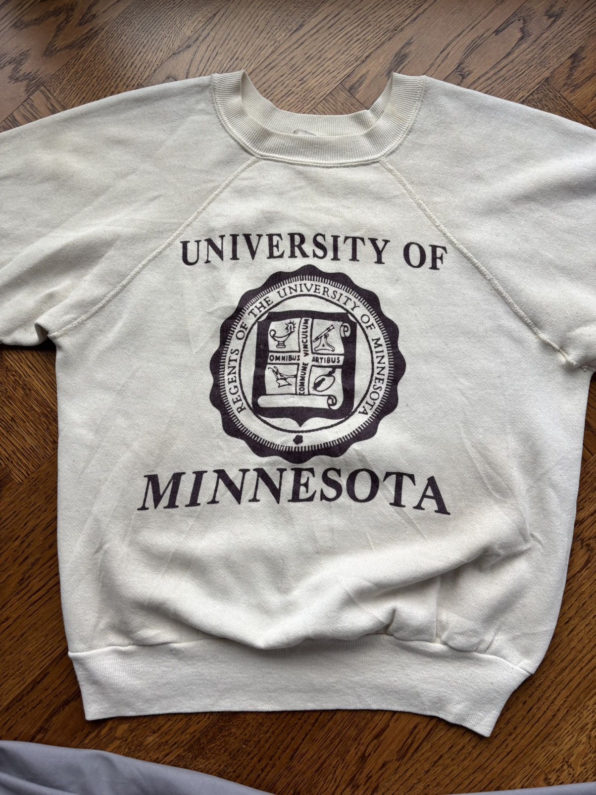 Vintage True Vintage College Sweatshirt University of Minnesota Crew Size US XS / EU 42 / 0 - 2 Thumbnail
