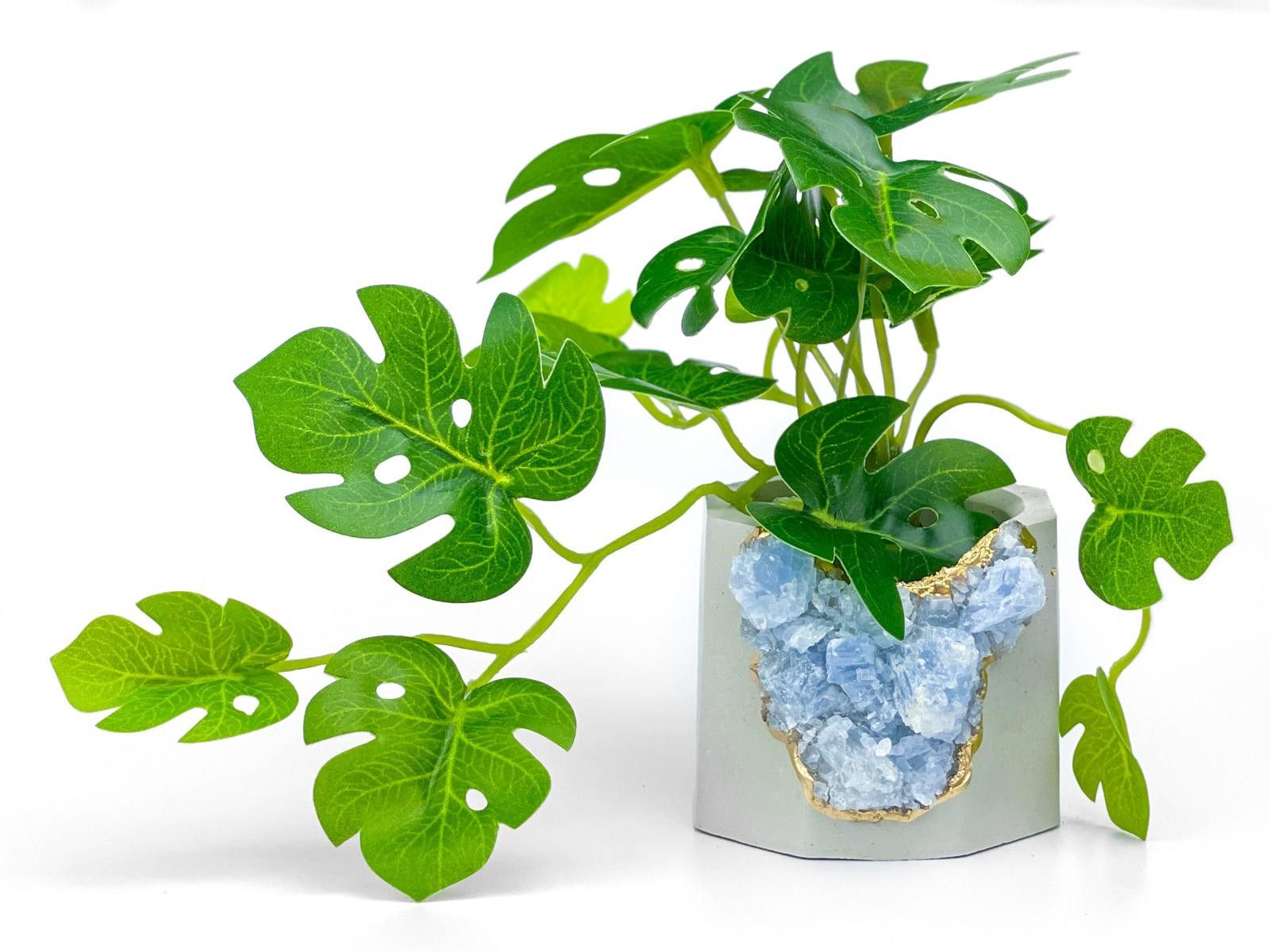 Other Succulent Crystal Planter | Geode Planter | Raw Blue Calcite Size ONE SIZE - 4 Thumbnail